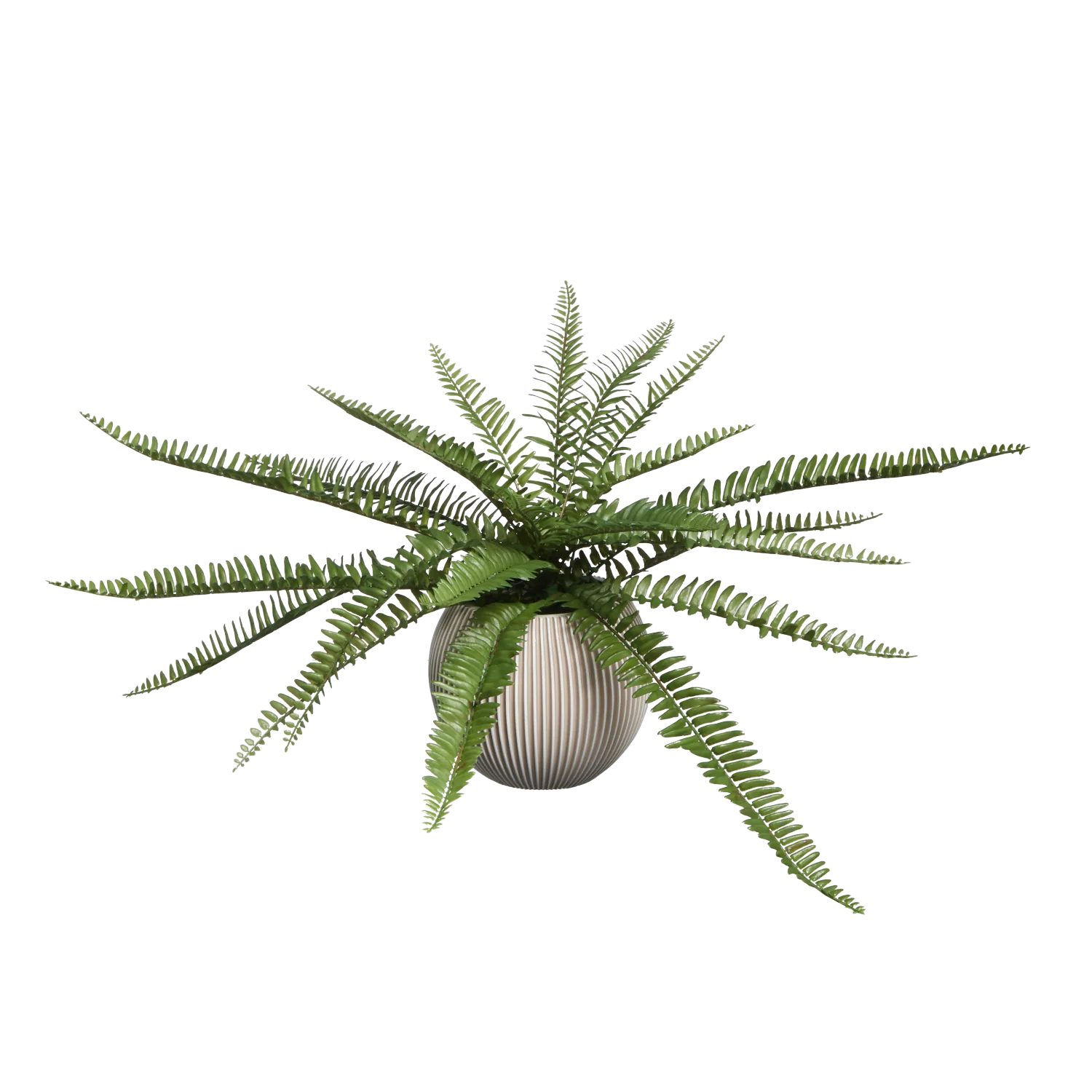 Kunstpflanze Künstlicher Schwertfarn - Bali, 51 cm, aplanta
