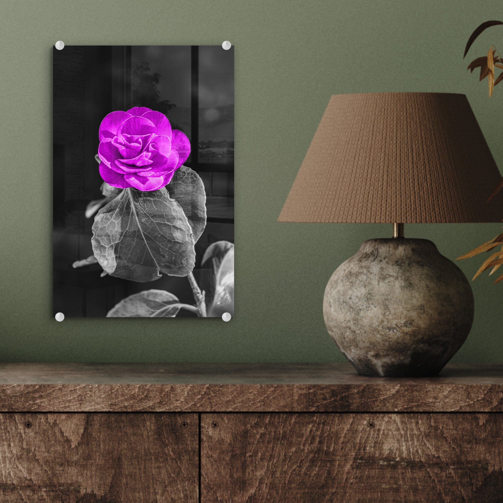 Lila - Wandbild - - Wanddekoration auf Rose - Acrylglasbild bunt Bilder Glasbilder Weiß, Glas Schwarz St), Glas MuchoWow Foto auf - Blumen - (1 -