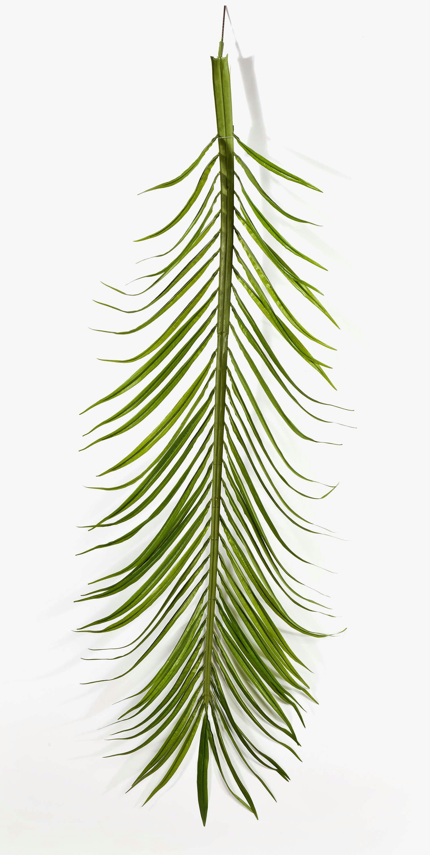 Kunstpflanze Deko Phönix Palmwedel Set, 18 Stück, 165cm - Künstliche Wedel Dattelpalme, artplants, Höhe 165.0 cm