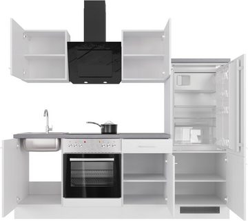 Flex-Well Küche Kopenhagen, mit E-Geräten, Breite 220 cm, in vielen Farbvarianten erhältlich