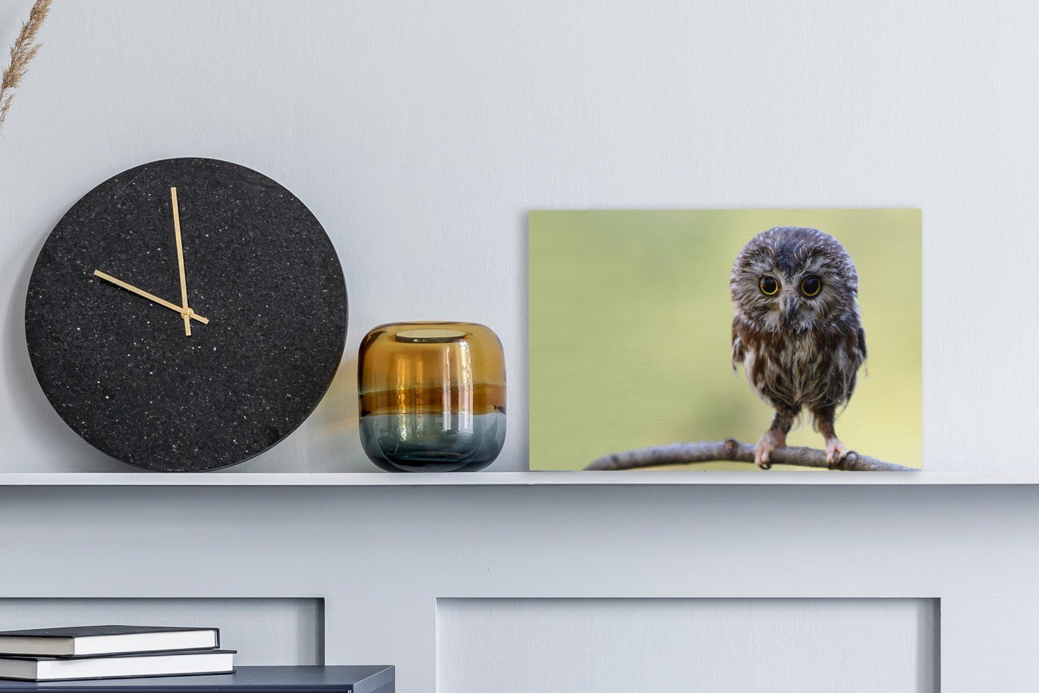 OneMillionCanvasses® Leinwandbild Eule - Vogel - günstig online kaufen