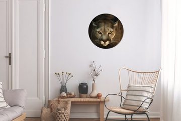 MuchoWow Gemälde Ein Puma in Jagdstellung mit gelben Augen, (1 St), Kreis Wanddekoration Forex, Rundes Wandbild, Wohnzimmer, 30x30 cm
