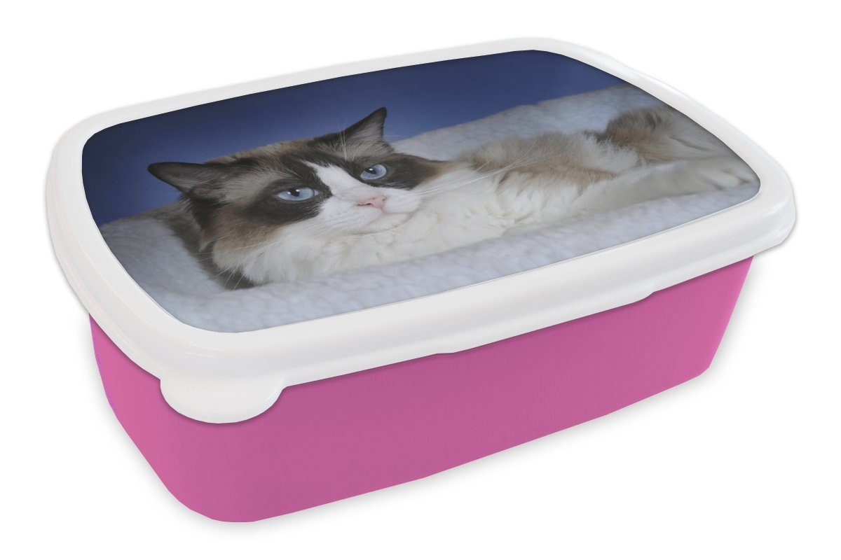 Snackbox, Mädchen, Kinder, Ragdoll-Katze, Kunststoff, MuchoWow Brotdose (2-tlg), rosa Erwachsene, Liegende für schwarz-weiße Brotbox Kunststoff Lunchbox