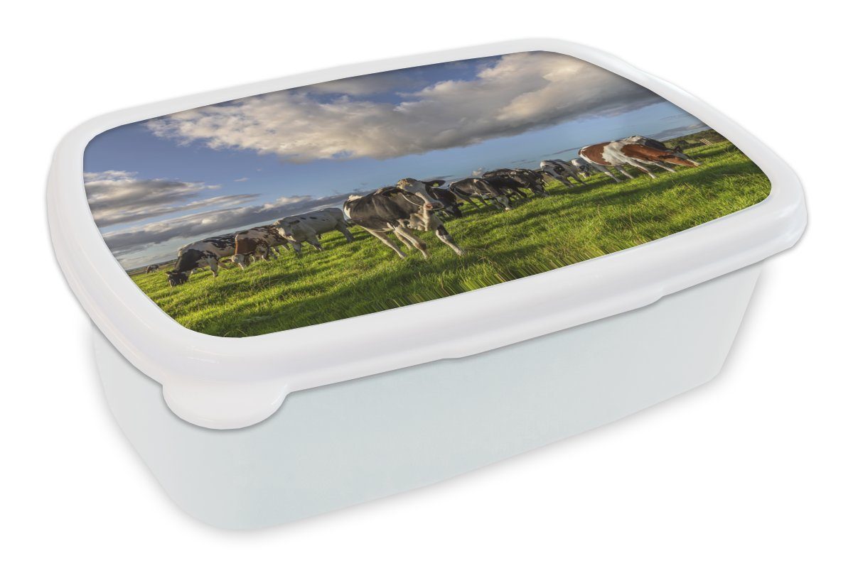 Mädchen Gras, - Erwachsene, Licht für Kinder Jungs MuchoWow Brotbox Kunststoff, Kühe und Brotdose, Lunchbox weiß (2-tlg), für - und