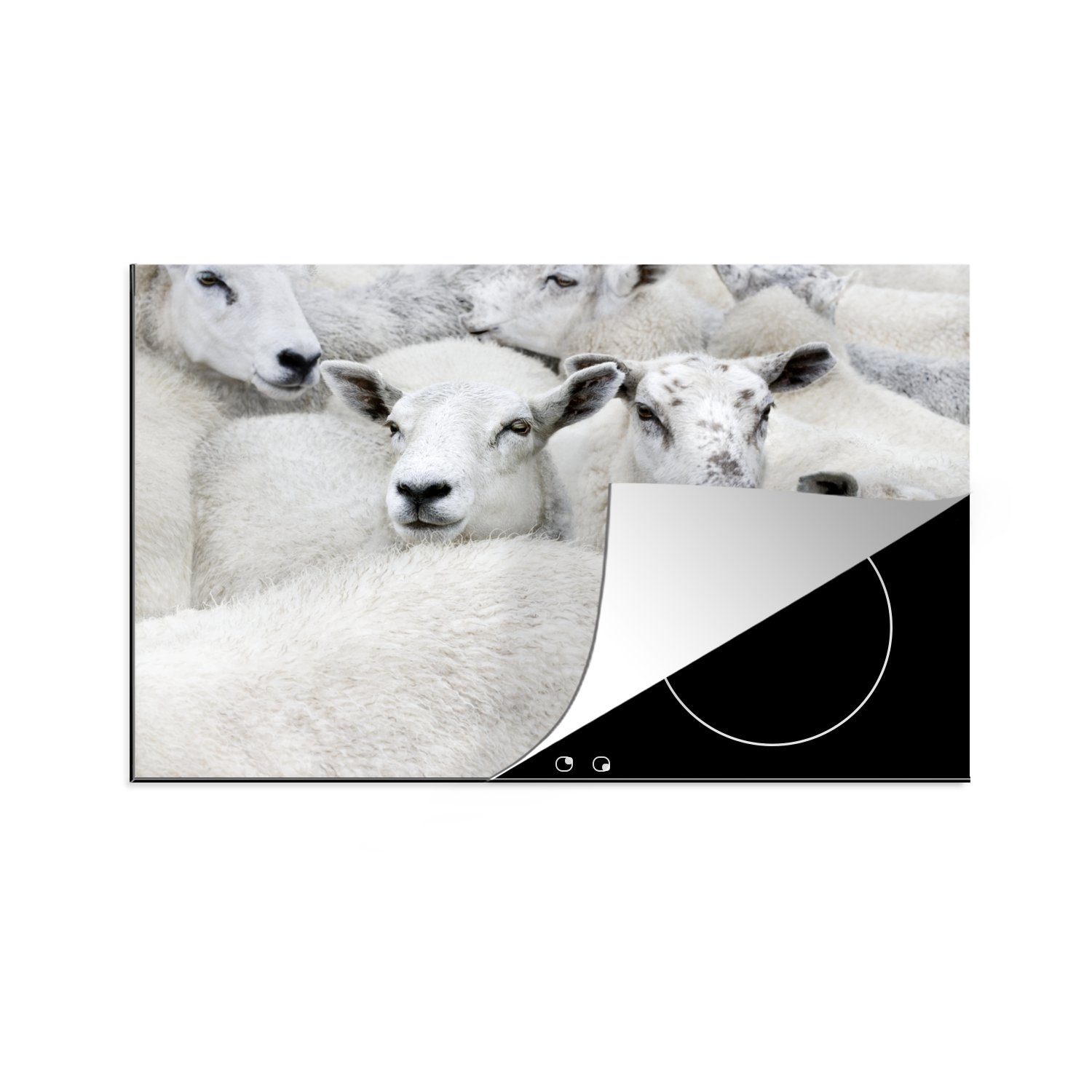 MuchoWow Herdblende-/Abdeckplatte Schafe - Tiere - Bauernhof, Vinyl, (1 tlg), 81x52 cm, Induktionskochfeld Schutz für die küche, Ceranfeldabdeckung