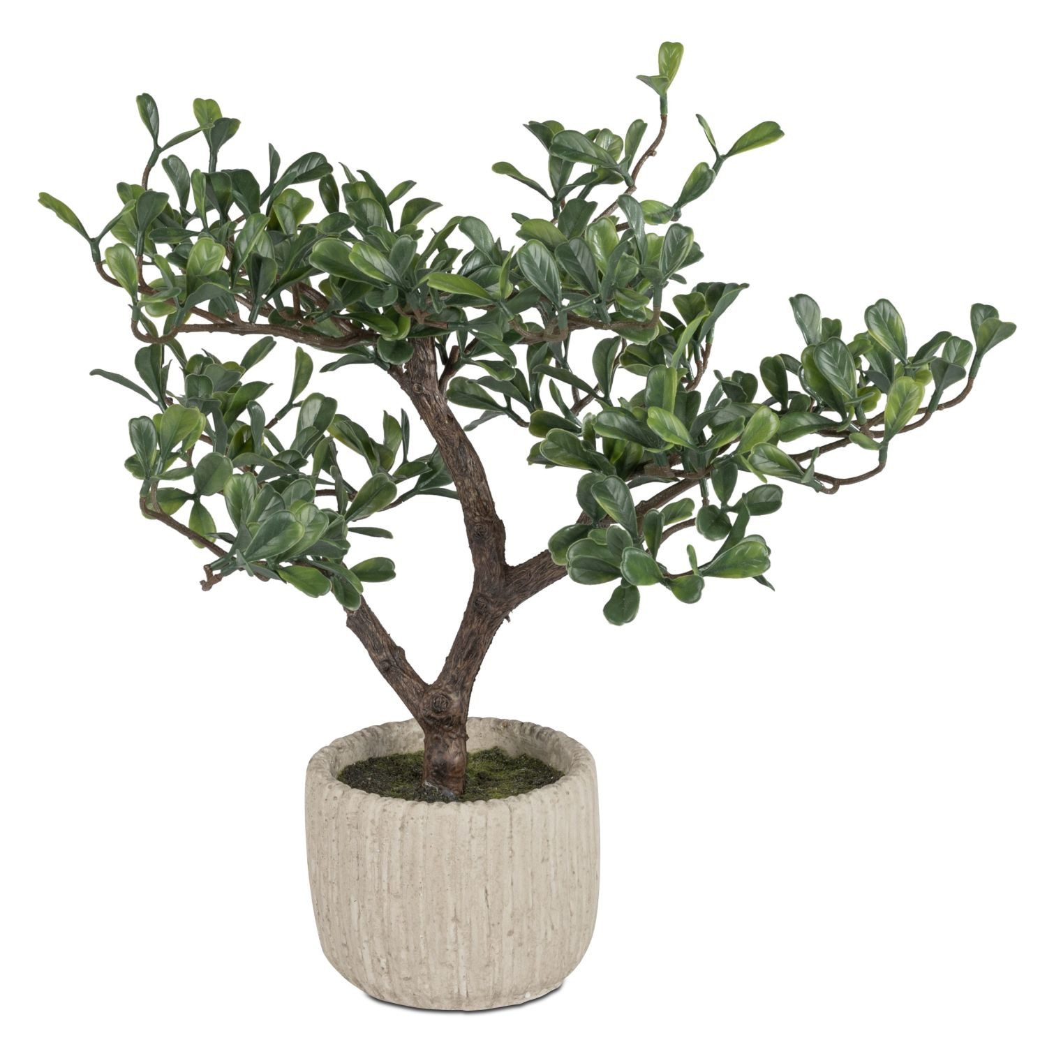 Kunstblume Kunstblumen, formano, Höhe 43 cm, Farbe: Grün, Motiv: Baum