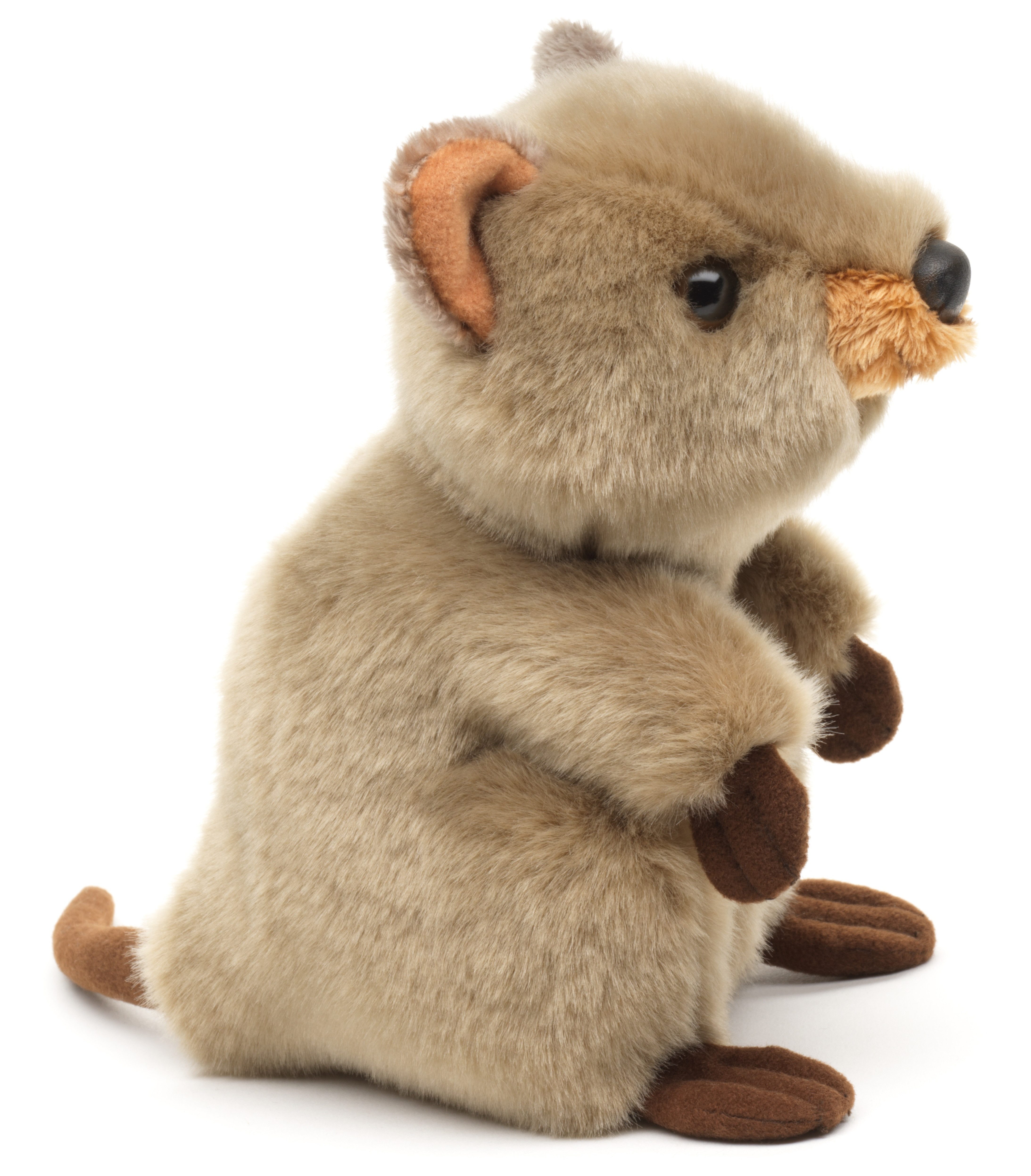 Uni-Toys Kuscheltier Quokka - 20 cm (Länge) - Plüsch-Känguru - Plüschtier, zu 100 % recyceltes Füllmaterial