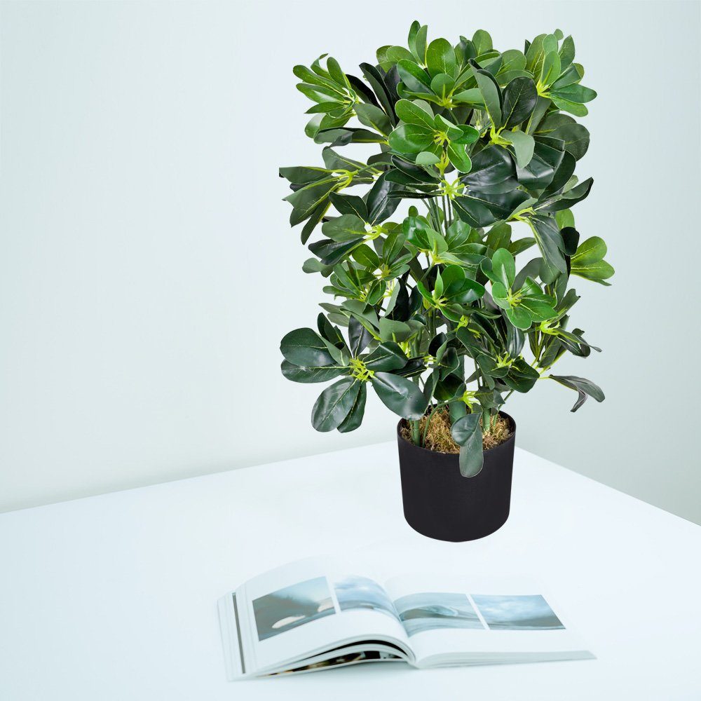Künstliche Zimmerpflanze Schefflera Aralia Kunstpflanze Künstliche günstig online kaufen