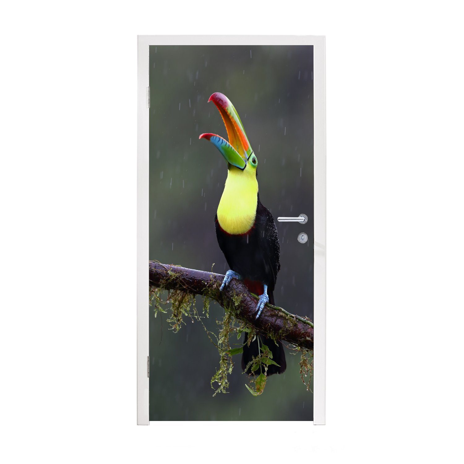 MuchoWow Türtapete Tukan im Regen, Matt, bedruckt, (1 St), Fototapete für Tür, Türaufkleber, 75x205 cm