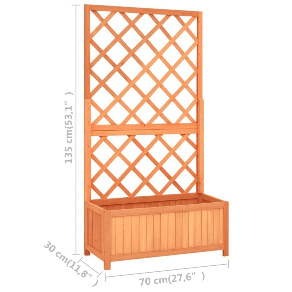 cm Garten-Spalier Braun vidaXL (1 Tannenholz St) Blumenkasten Blumentopf 70x30x135 mit