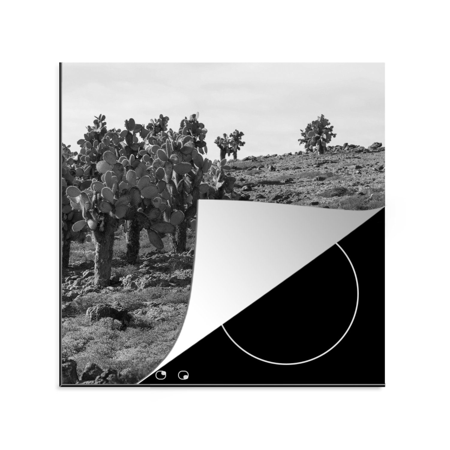 MuchoWow Herdblende-/Abdeckplatte Kaktus - Schwarz - Weiß - Südamerika, Vinyl, (1 tlg), 78x78 cm, Ceranfeldabdeckung, Arbeitsplatte für küche