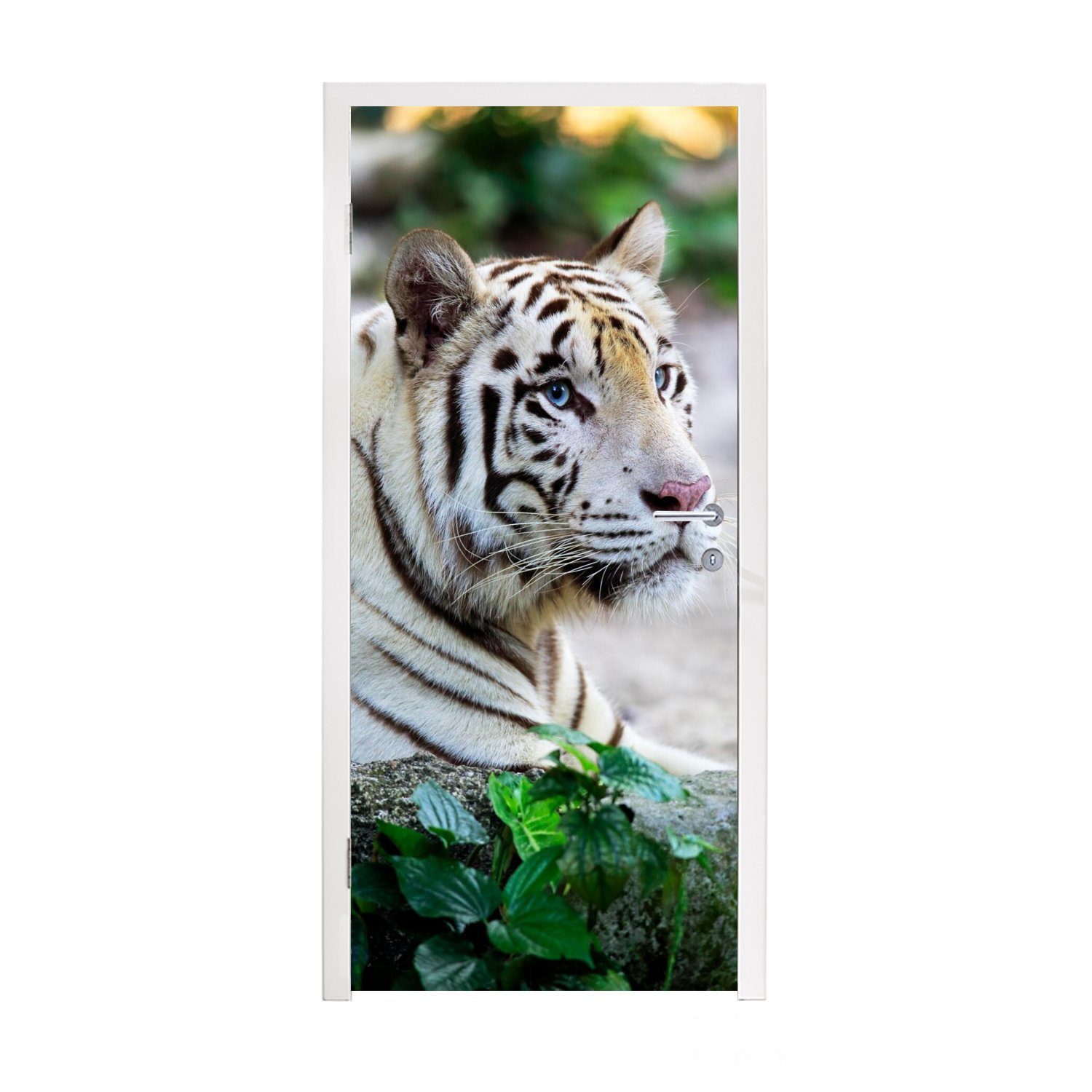 MuchoWow Türtapete Tiger - Weiß - Sand, Matt, bedruckt, (1 St), Fototapete für Tür, Türaufkleber, 75x205 cm | Türtapeten