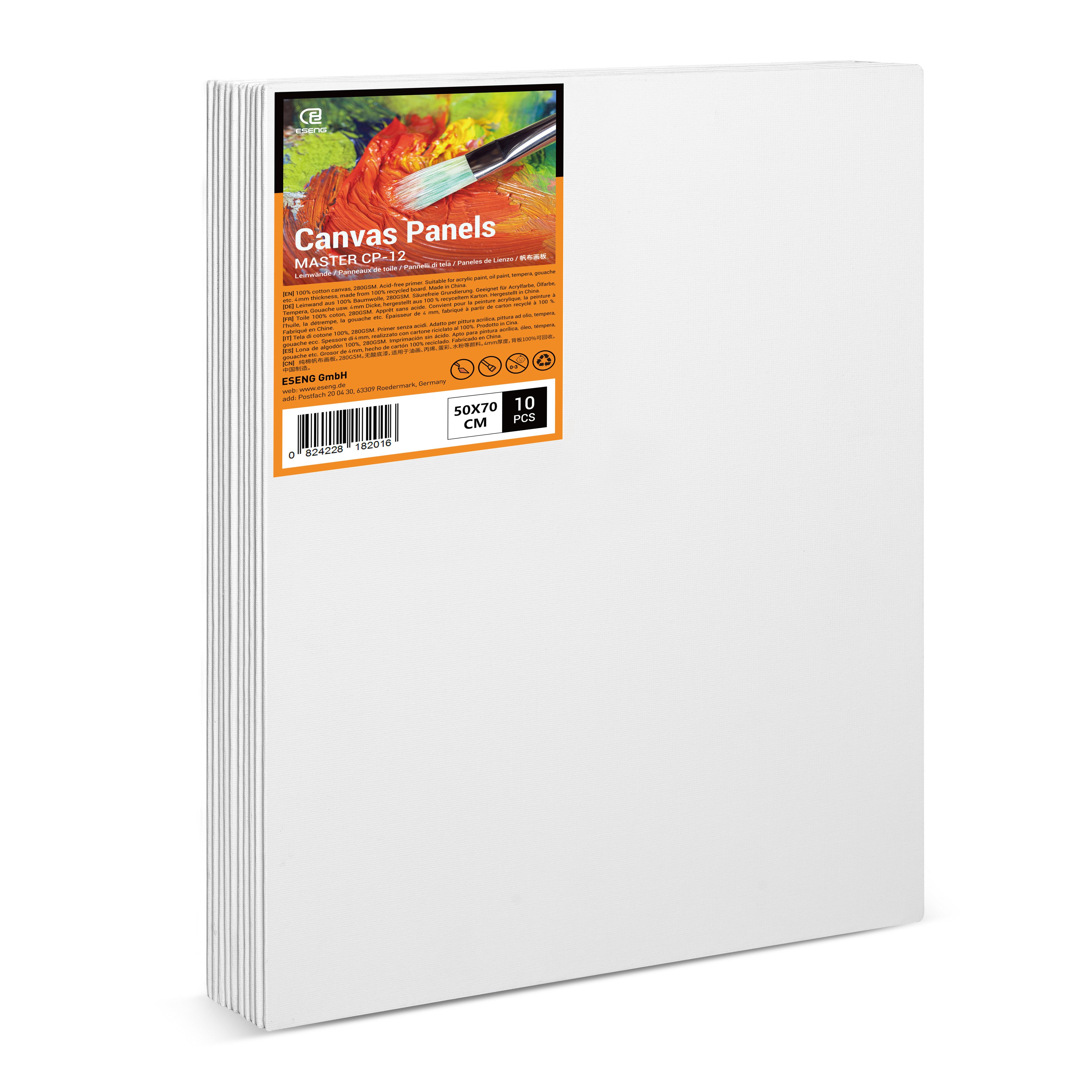 ESENG Leinwand zum bemalen groß, MASTER CP-12, 100% Baumwolle, 4mm dick