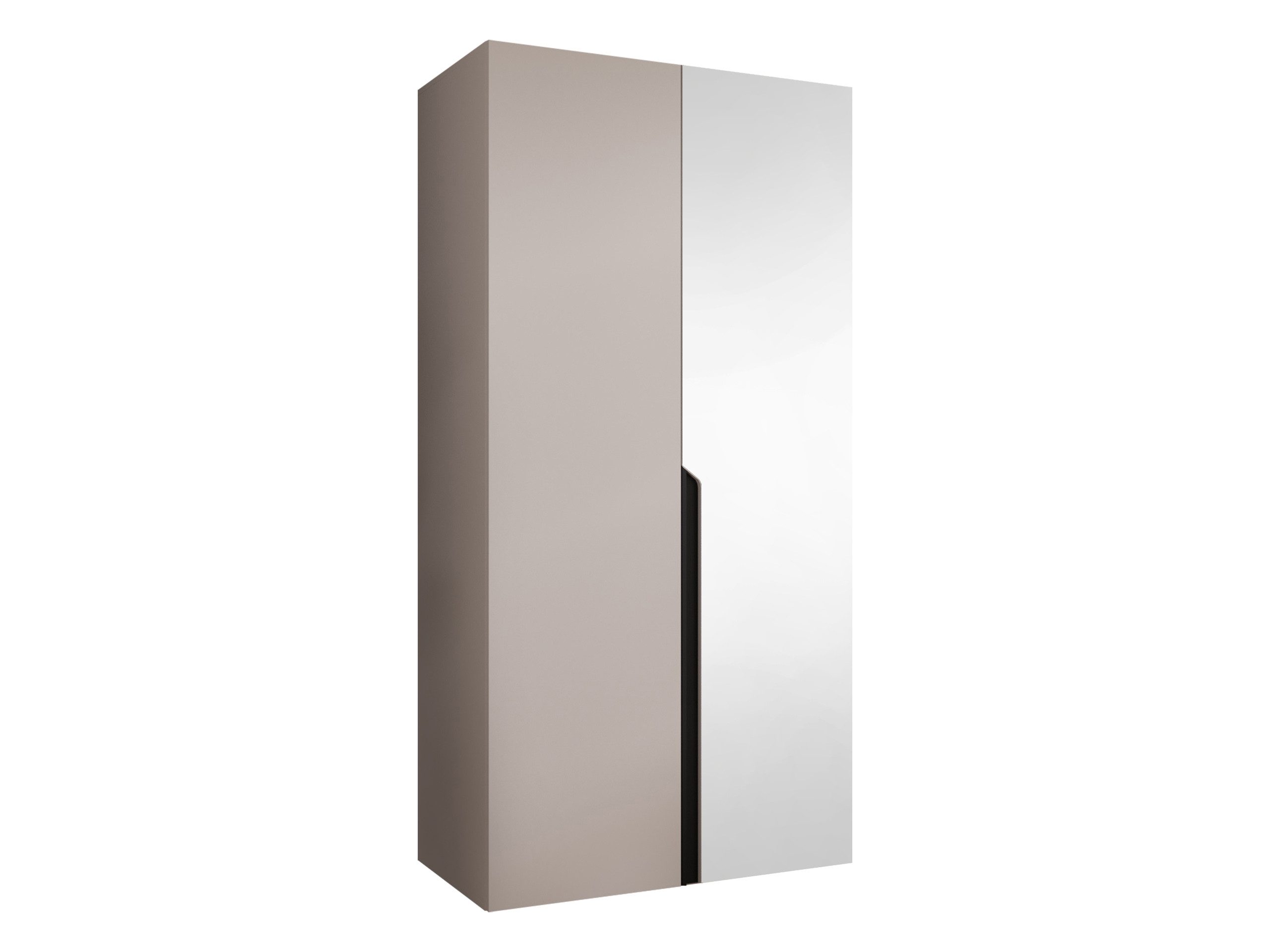 MIRJAN24 Kleiderschrank Mila II 100 (mit zwei Drehtüren) Kleiderstange und Frontspiegel, 100x52x202 cm