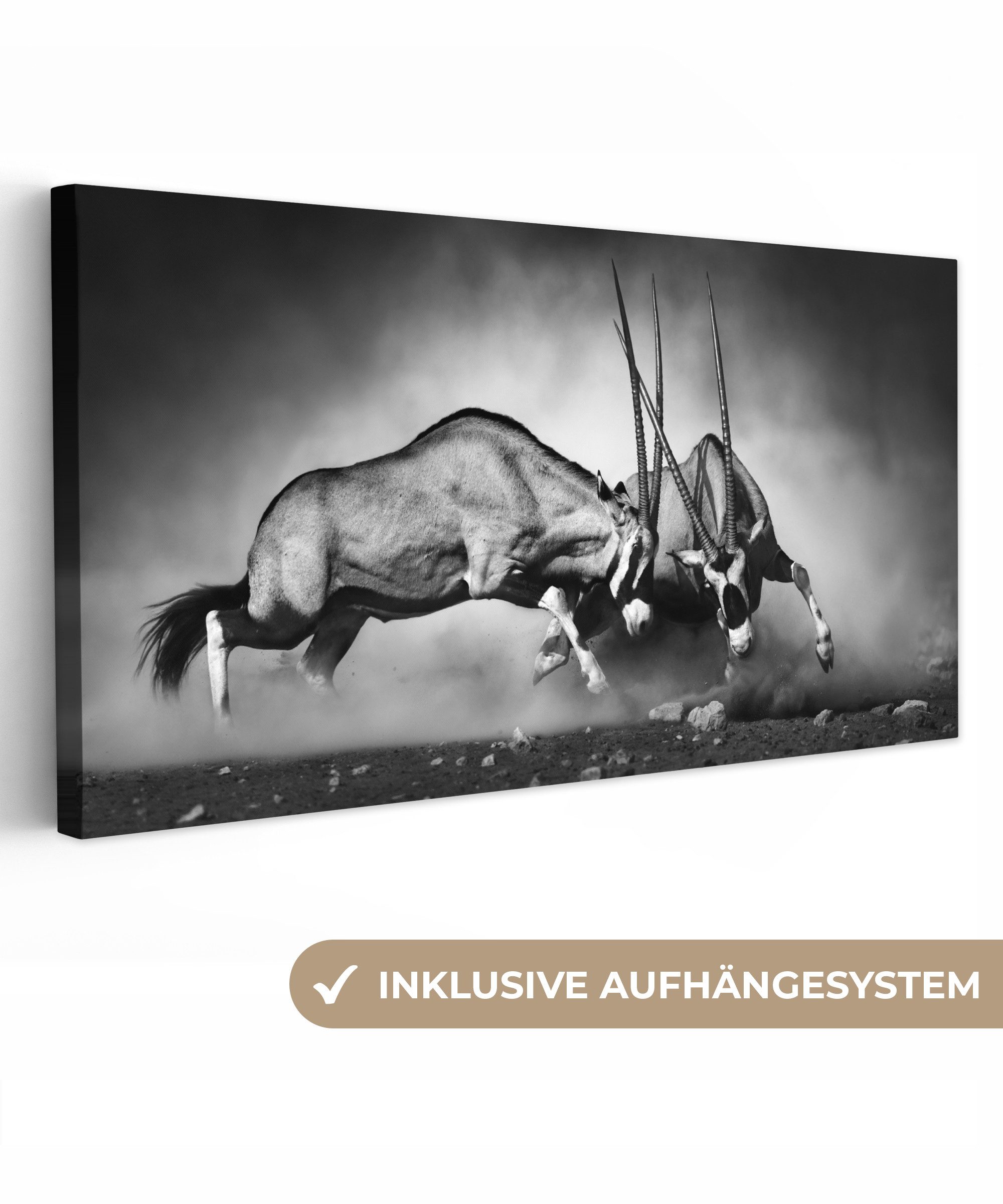 OneMillionCanvasses® Leinwandbild Panorama Antilope - Schwarz günstig online kaufen