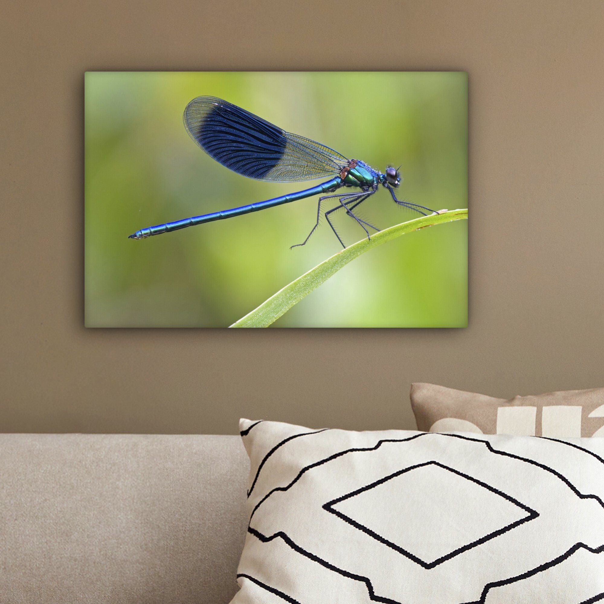 gefärbte leuchtend (1 hellblau Leinwandbilder, Wandbild OneMillionCanvasses® Leinwandbild Wanddeko, Eine cm Libelle, St), Aufhängefertig, 30x20