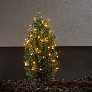 MARELIDA LED-Lichterkette 100LED bernstein Timer Trafo 6,95m Außen Weihnachten Garten, 100-flammig