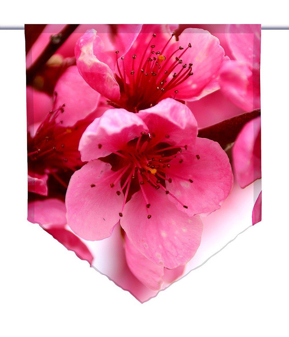 Scheibengardine Scheibenhänger spitz rosa Frühlingszauber, Voile Transparent, gardinen-for-life