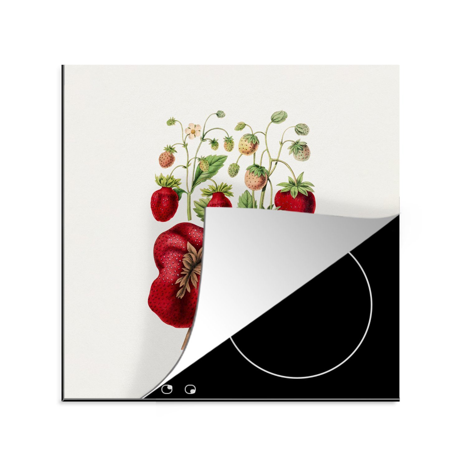 tlg), für Vinyl, Ceranfeldabdeckung, Arbeitsplatte Obst küche - Lebensmittel, 78x78 Herdblende-/Abdeckplatte - MuchoWow (1 Erdbeeren cm,