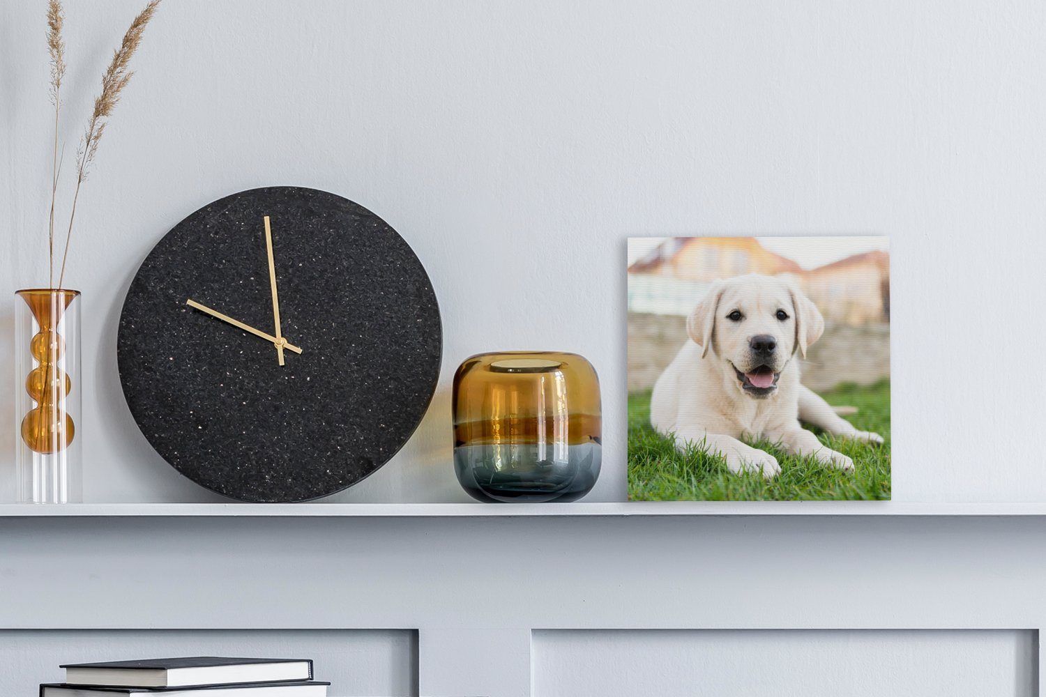 für Wohnzimmer im Weißer Gras Bilder Schlafzimmer OneMillionCanvasses® St), Labrador Leinwandbild (1 Retriever Leinwand liegend,