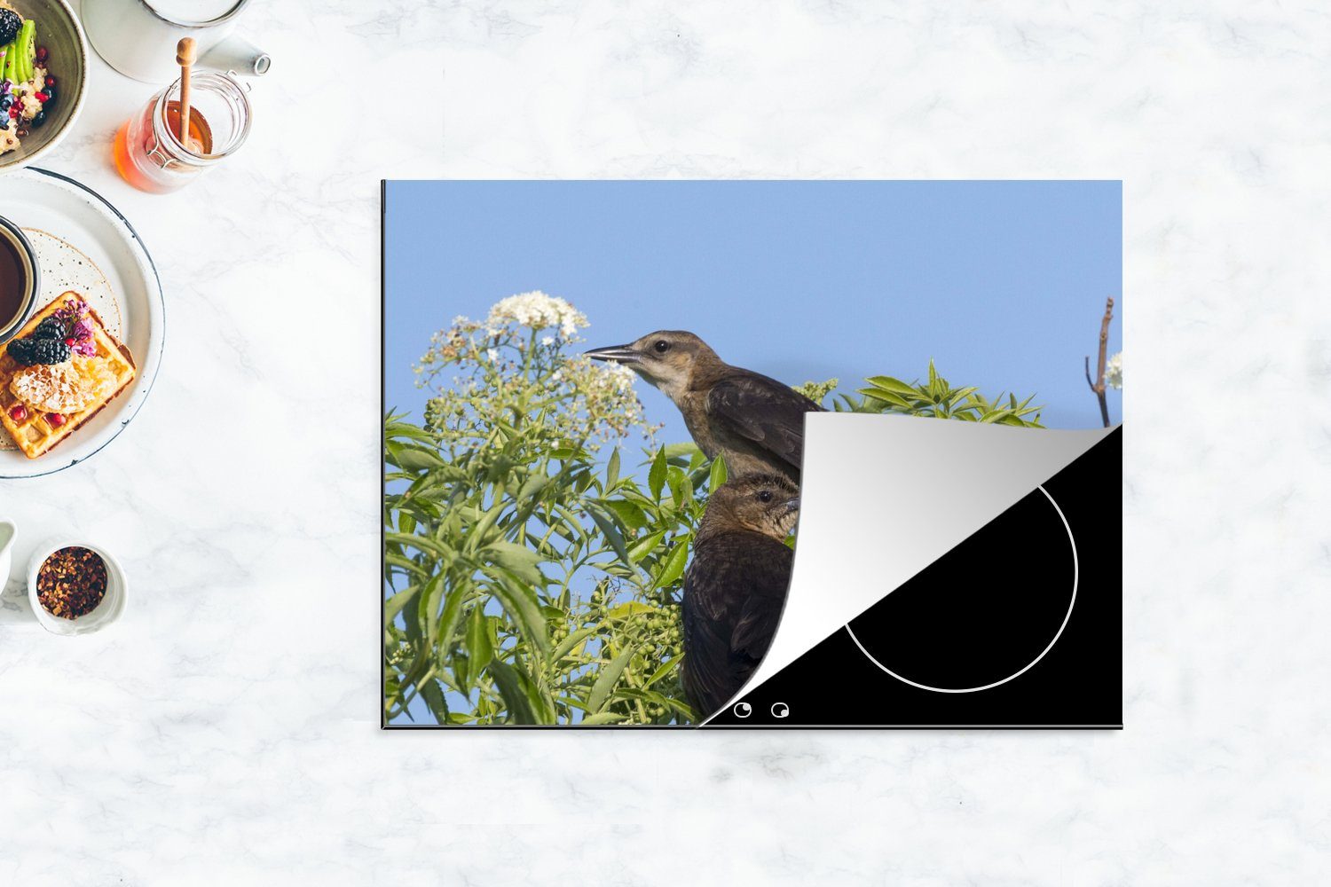 MuchoWow auf tlg), einem Stiefelschwanztropikvögel, Ceranfeldabdeckung sitzend, Baum nutzbar, Mobile Herdblende-/Abdeckplatte (1 Vinyl, beide 70x52 cm, Arbeitsfläche
