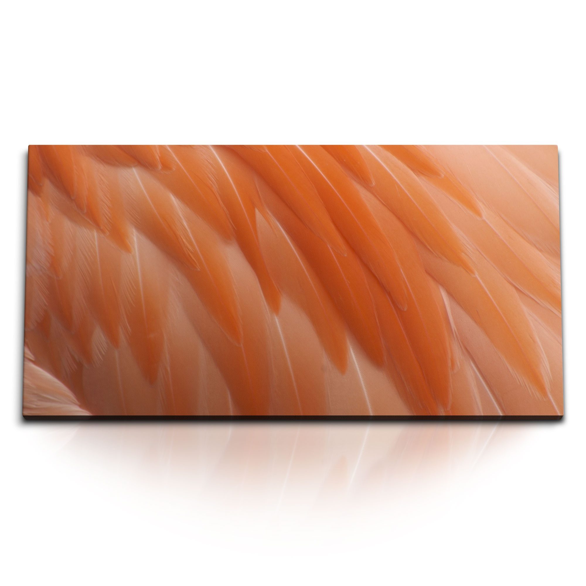 Leinwandbild Kunstdruck Bilder 120x60cm Federkleid Federn Fotokunst Orange Kunstvol