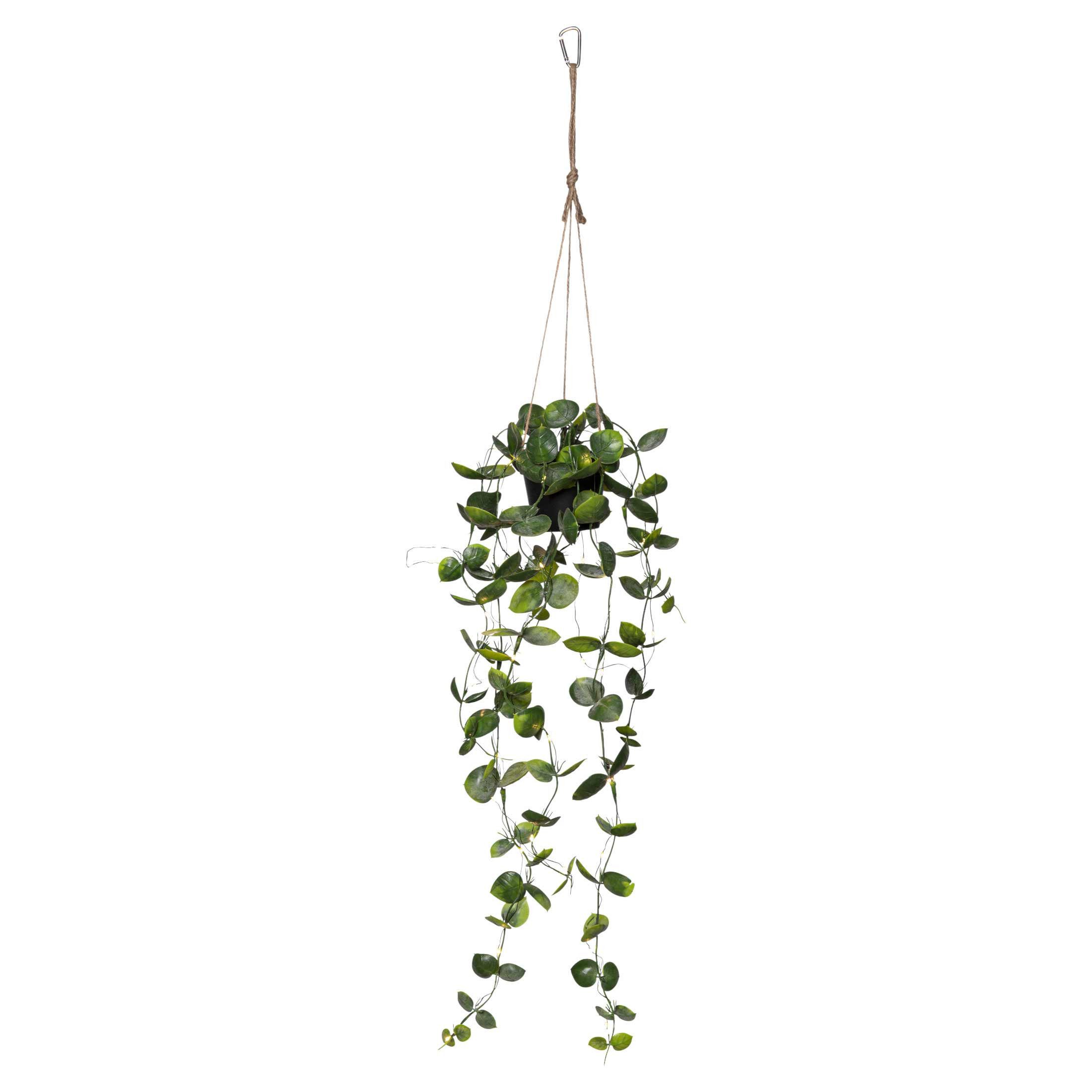 Kunstpflanze Laos Hängepflanze Eukyluptus Art, STAR TRADING, Höhe 60 cm, Hängepflanze mit 50 LEDs warmweiß außen 84cm Eukalyptus
