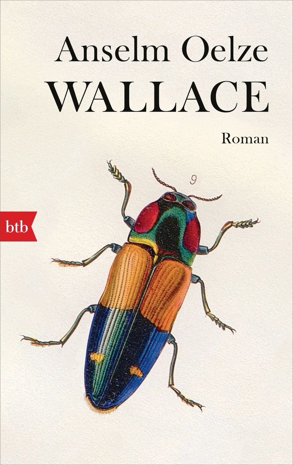 Wallace / Anselm Oelze, Roman