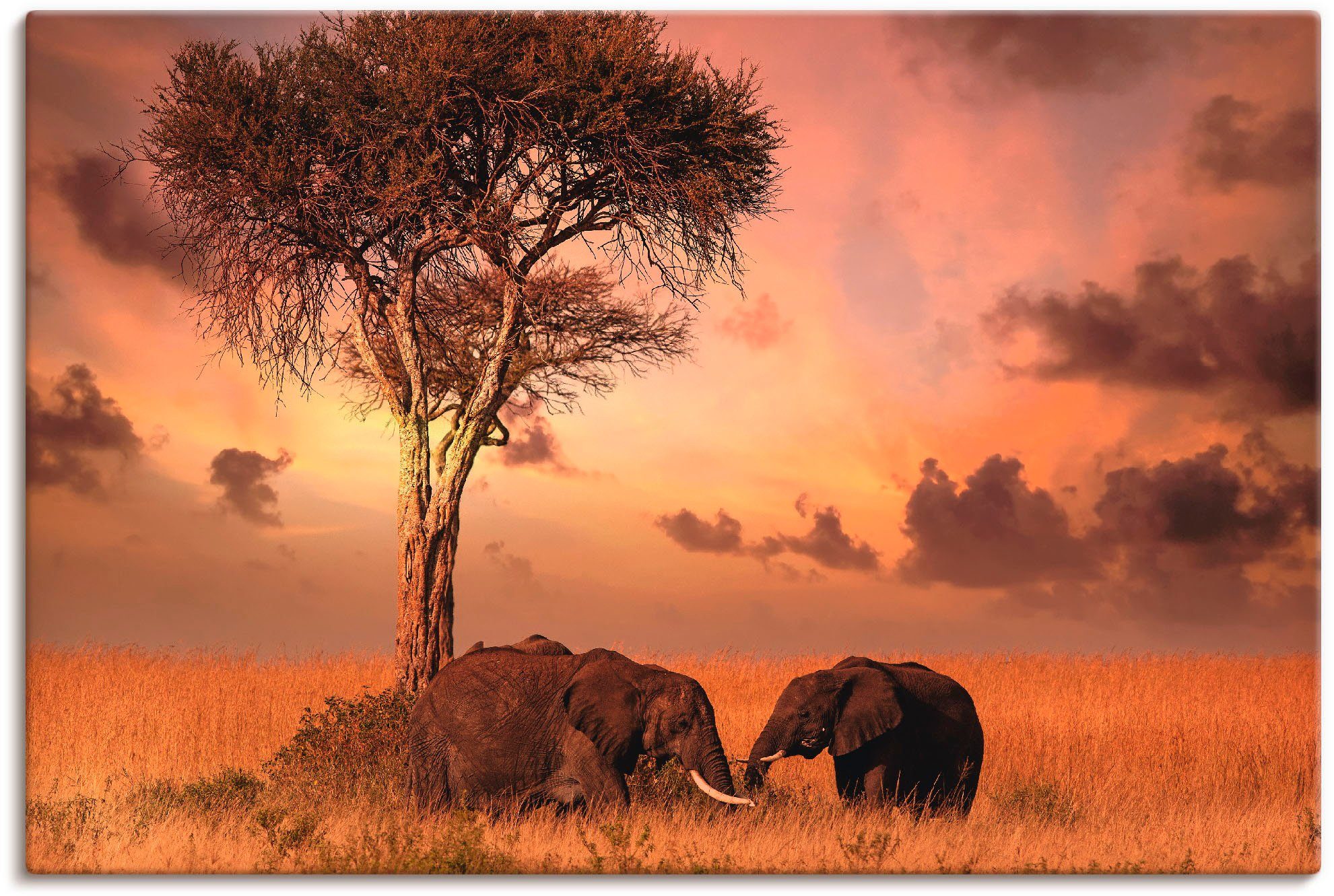 (1 oder Wandaufkleber Abendessen, St), Artland als Leinwandbild, zum Wildtiere Elefanten versch. Größen in Poster Alubild, Wandbild