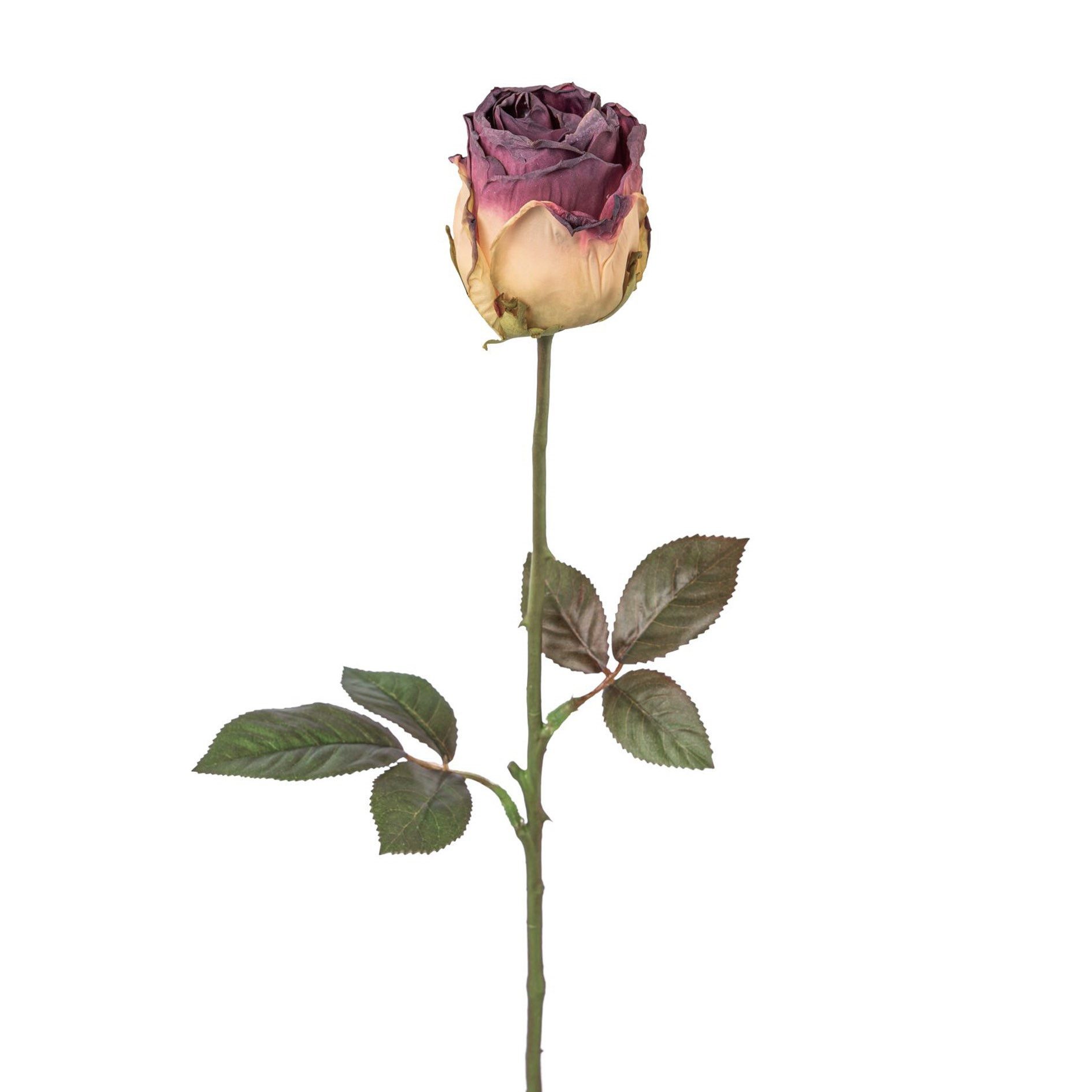 Kunstblume Kunstblume ROSE "TROCKENBLUME". 46cm. 1 Stück. Lila, VIOLETT, Gasper, Höhe 46.00 cm