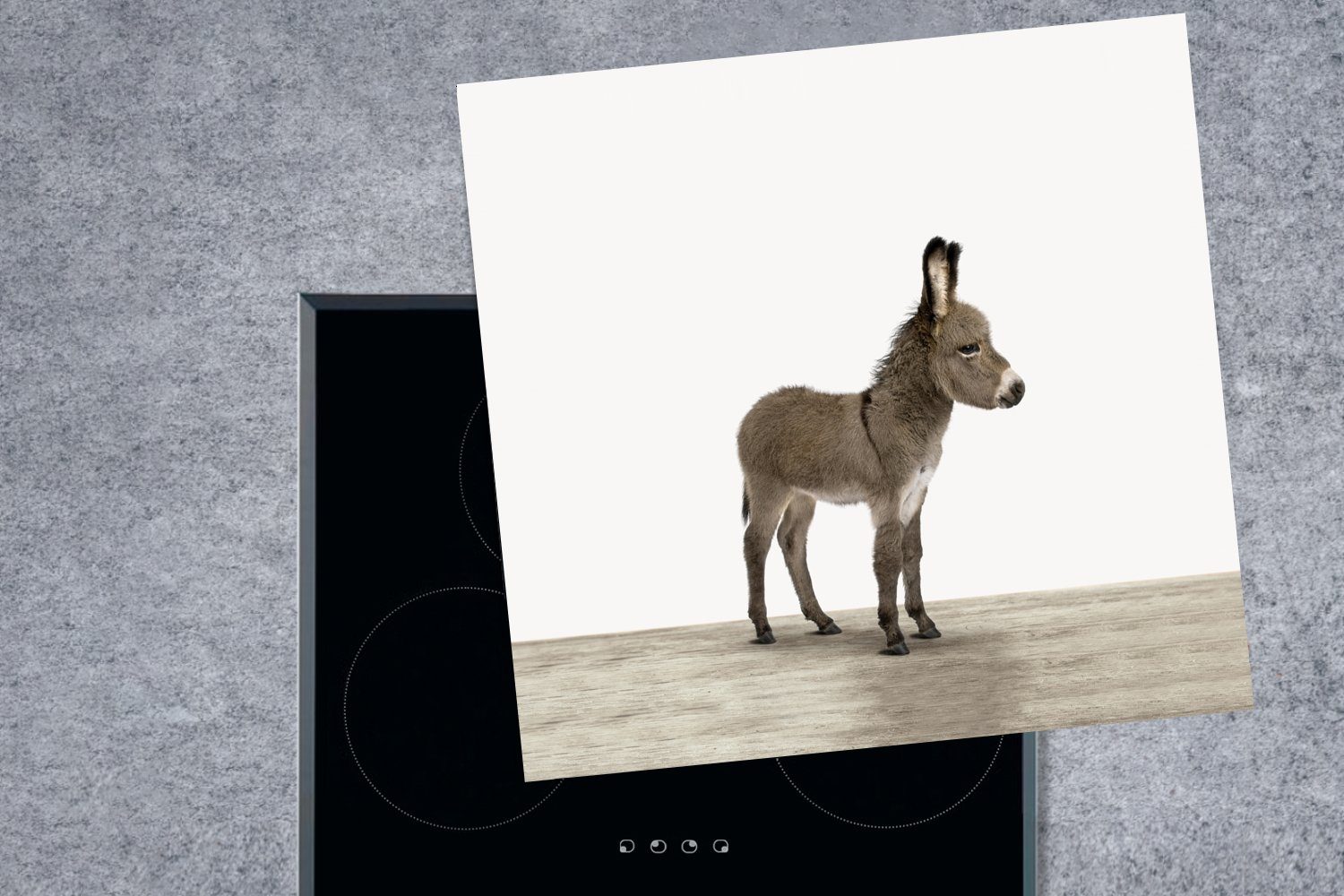 78x78 Grau, Ceranfeldabdeckung, - küche Vinyl, für (1 cm, MuchoWow Arbeitsplatte Tiere Esel Herdblende-/Abdeckplatte tlg), -