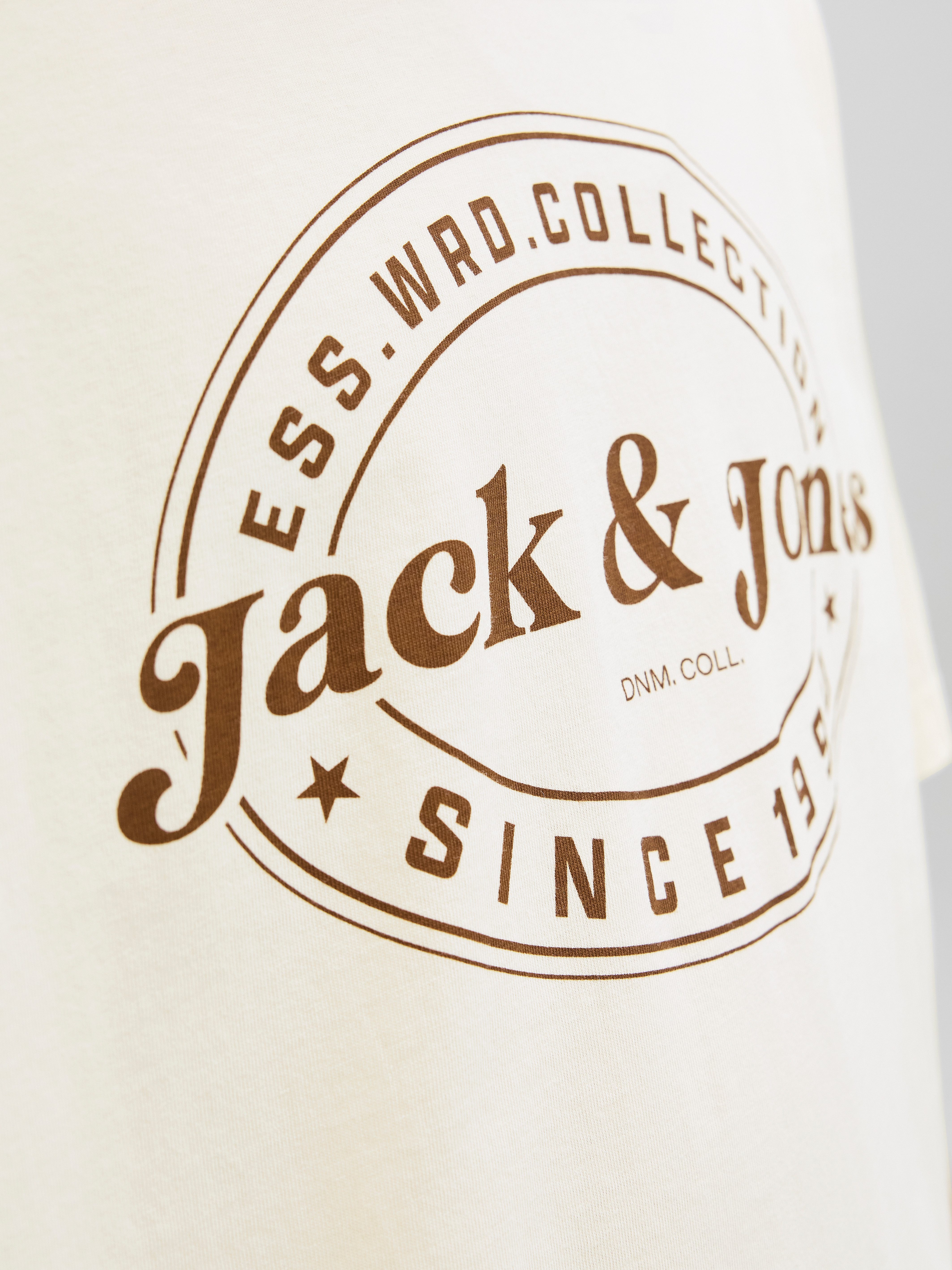 Jack & Jones Rundhalsshirt JJEDOVER PRINT TEE SS CREW NECK
