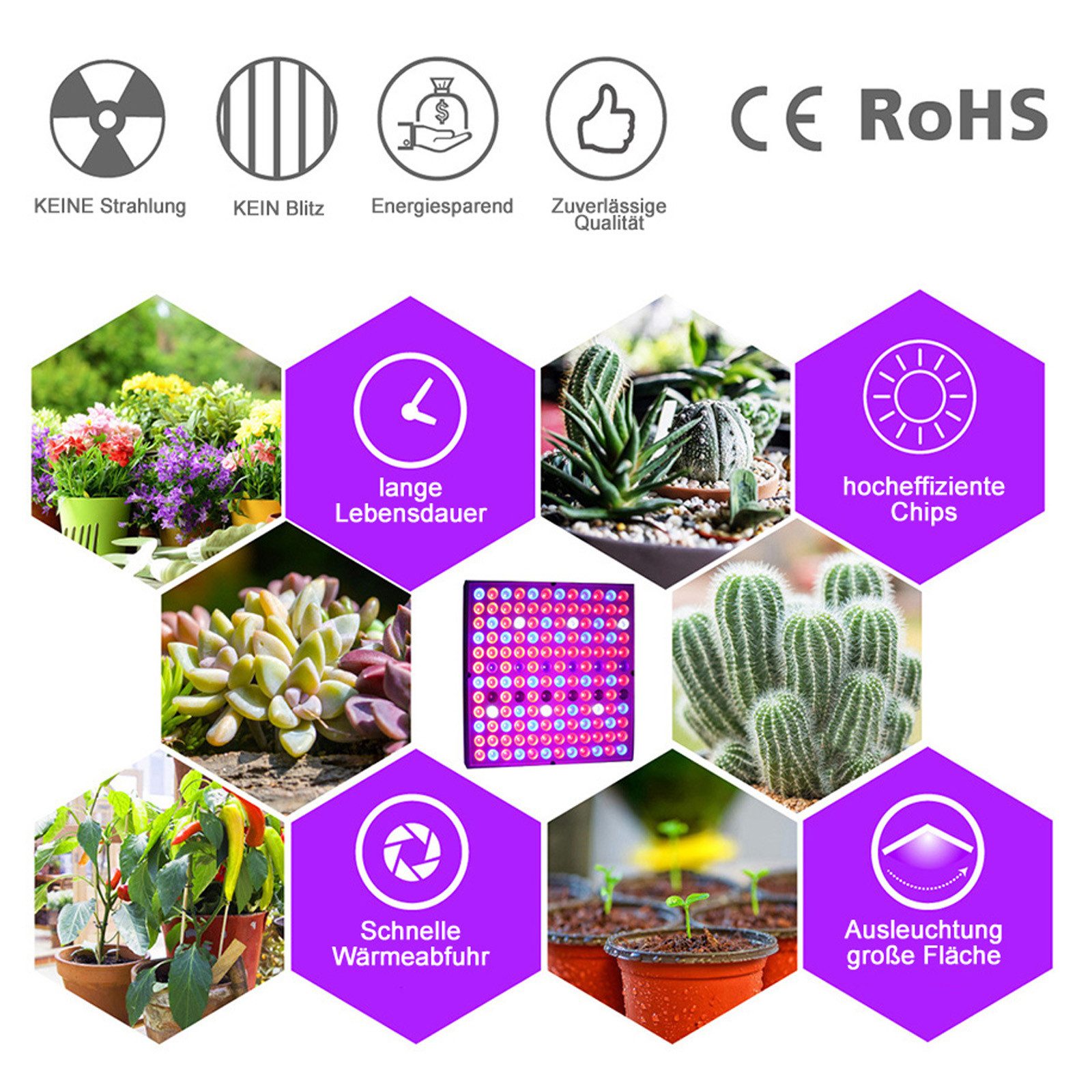 Qualra Pflanzenlampe 81-312LEDs LED Pflanzenlampe Vollspektrum Grow Lampe mit UV IR, für Zimmerpflanzen Gewächshaus Blumenanbau Gemüse – Bild 4 von 5