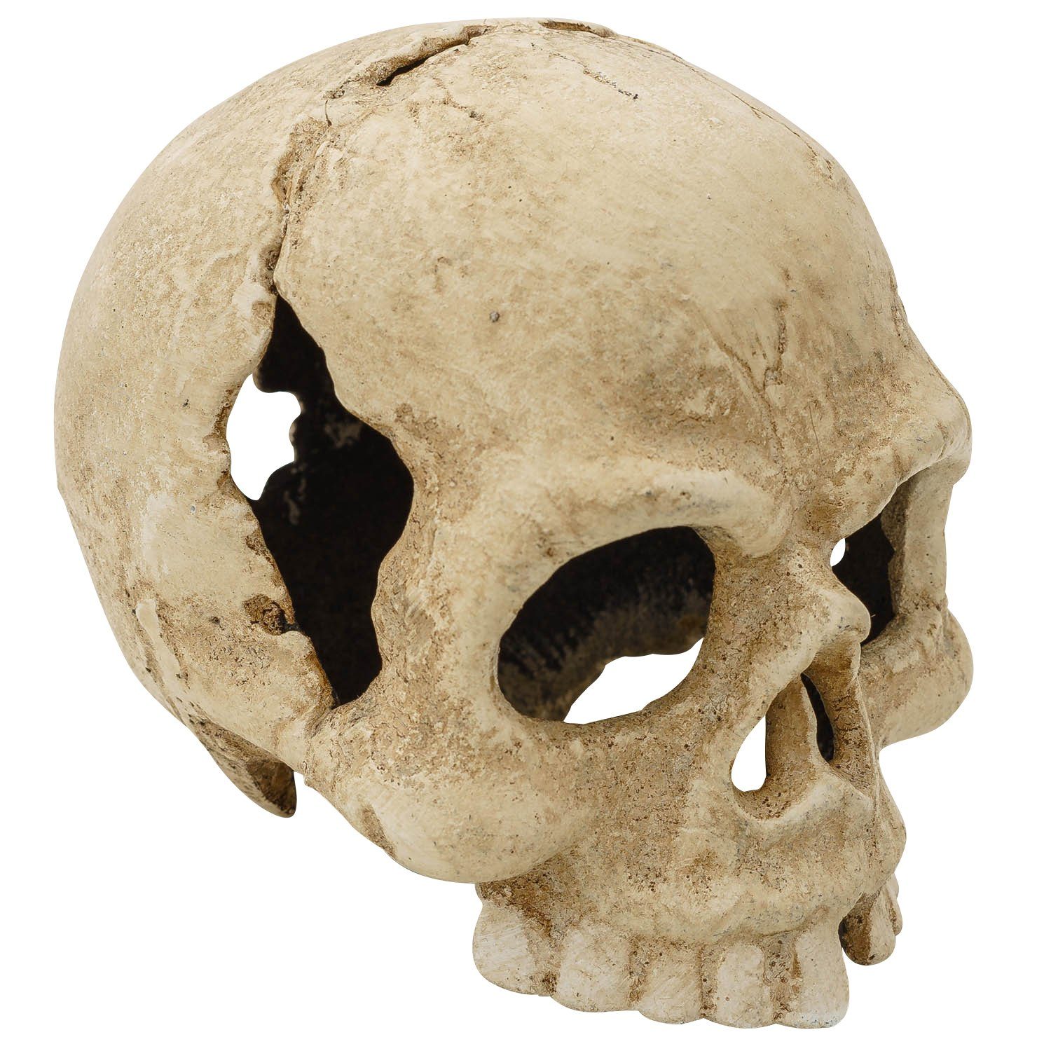 Aubaho Kerzenständer Teelichthalter Totenkopf Kerzenständer Figur Skulptur Eisen Antik-Stil