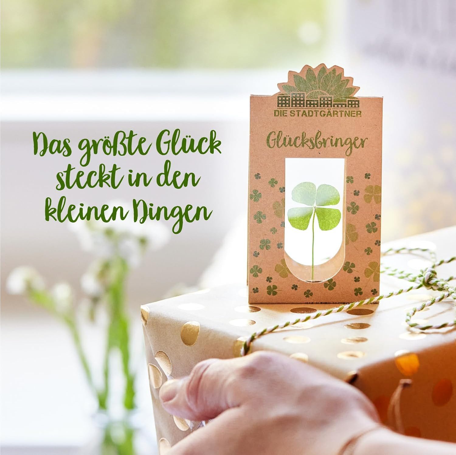Trockenblume Natürliche Geschenke für alle Gefühle: Wünsche, Glück, Liebe & günstig online kaufen