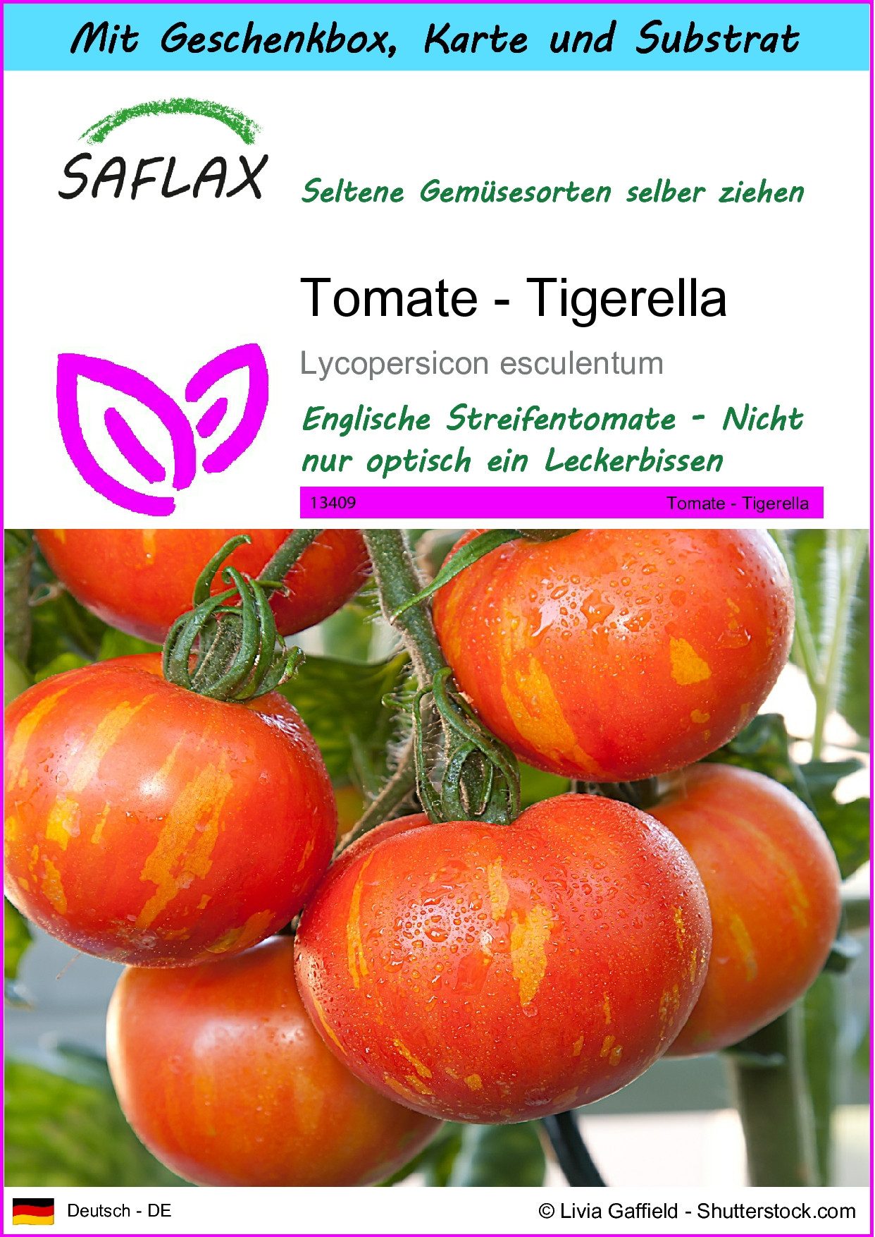 Gemüsesamen SAFLAX - Geschenkset - Tomate - Tigerella
