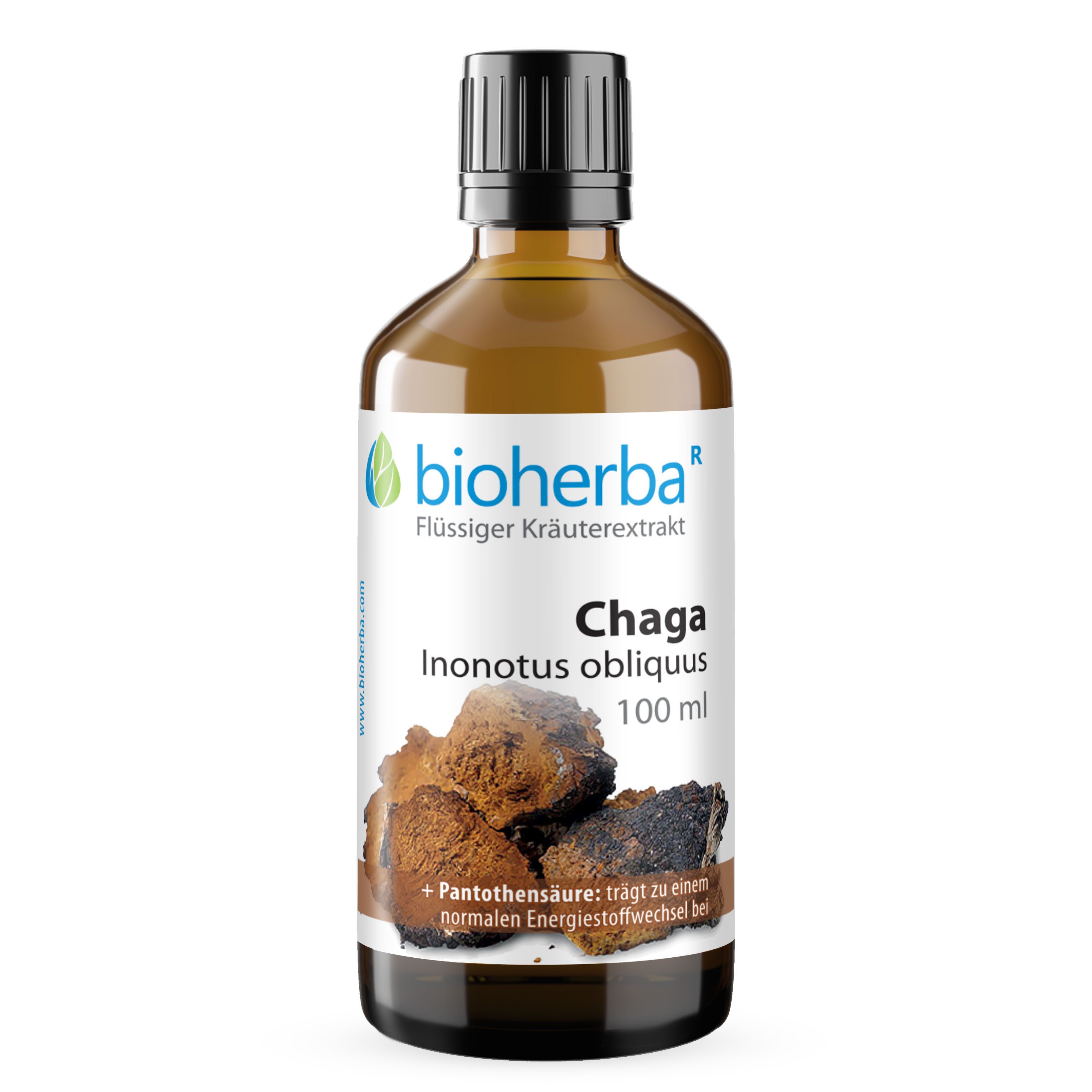 BIOHERBA R Bioherba Chaga Inonotus obliquus Tropfen Tinktur 100 ml Nahrungsergänzungsmittel, 1 er
