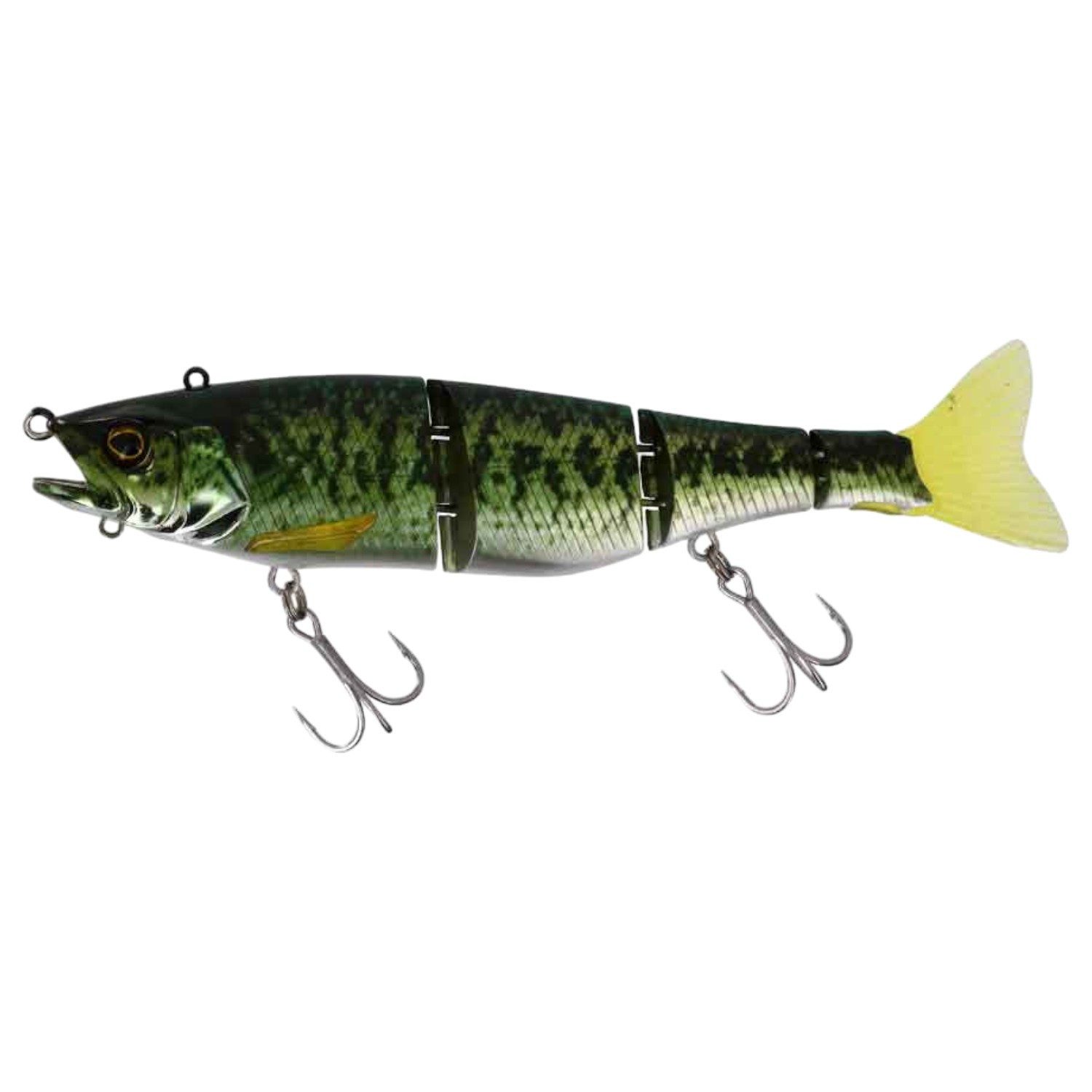 RT Biwako Bass