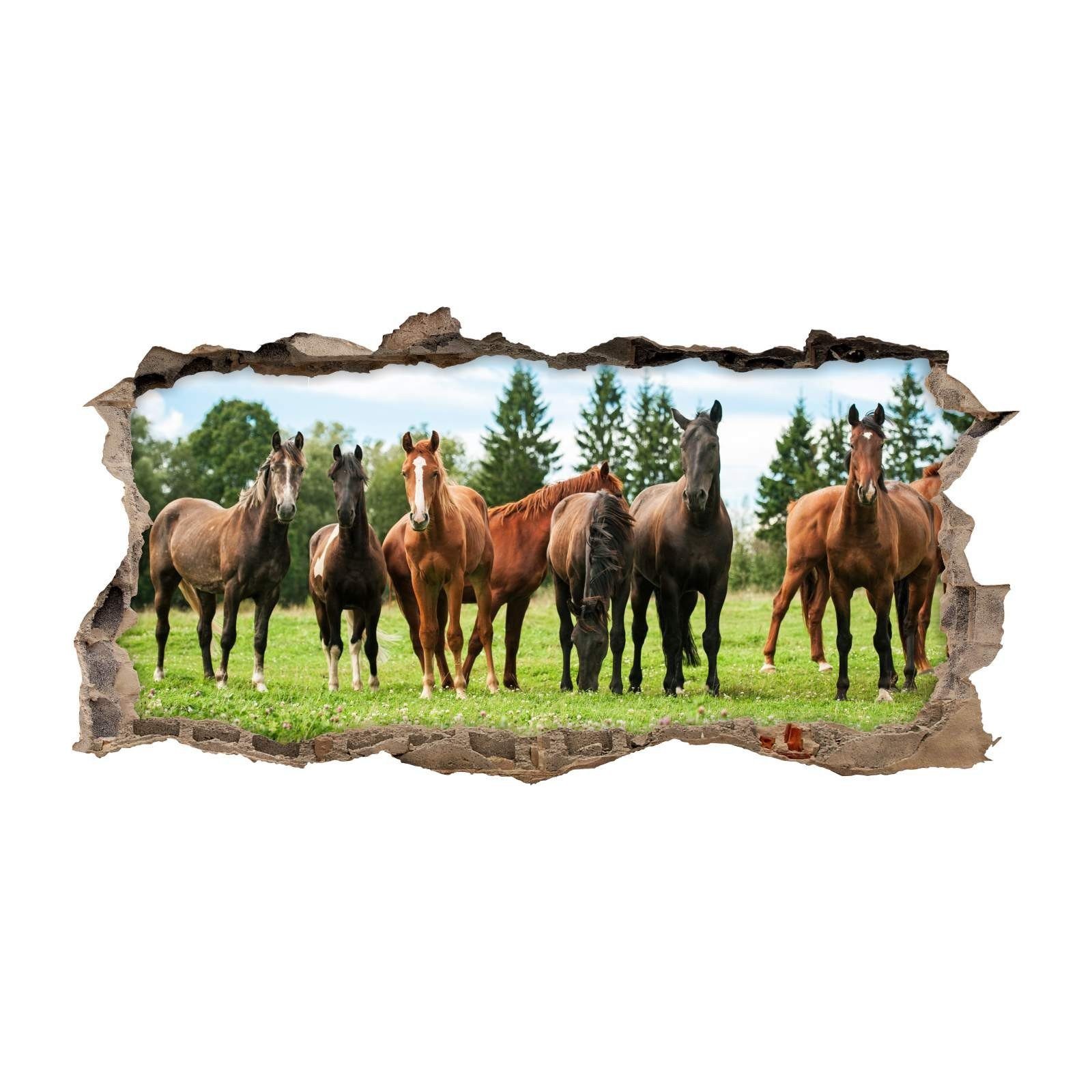 nikima Wandtattoo 125 Wandtattoo Pferde - Loch in der Wand - 750 x 380 mm ( günstig online kaufen
