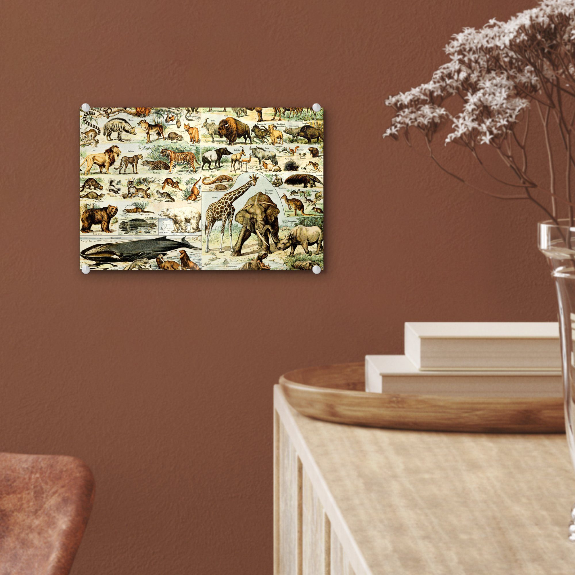 Bilder Acrylglasbild Glasbilder Tiere MuchoWow Glas auf - Wandbild - auf - - (1 Löwe, Wanddekoration St), - Giraffe Glas Foto
