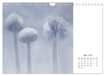 CALVENDO Wandkalender Kalender 2024 (Wandkalender 2024 DIN A4 quer), CALVENDO Monatskalender