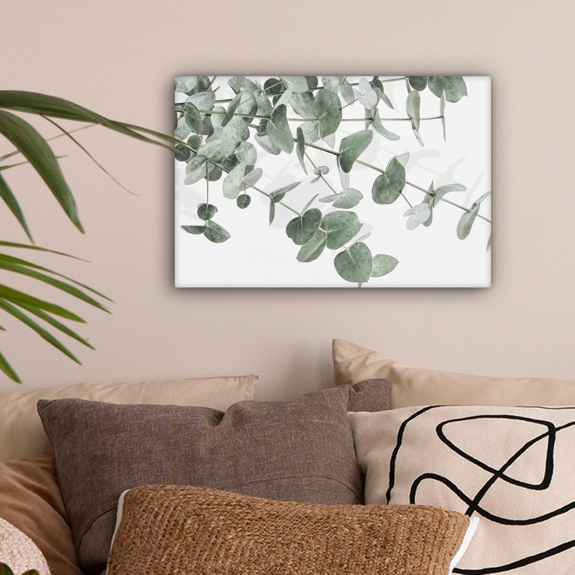 OneMillionCanvasses® Leinwandbild Eukalyptus - Blätter - Natur - Grün, Foto günstig online kaufen