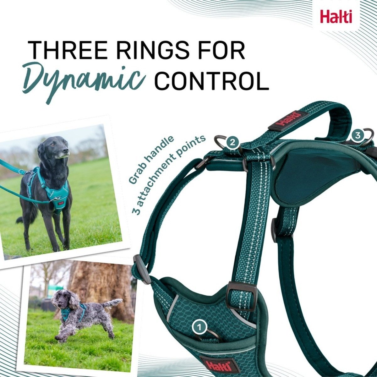 Company of Animals Hunde-Geschirr Hundegeschirr Anatomy Harness Teal