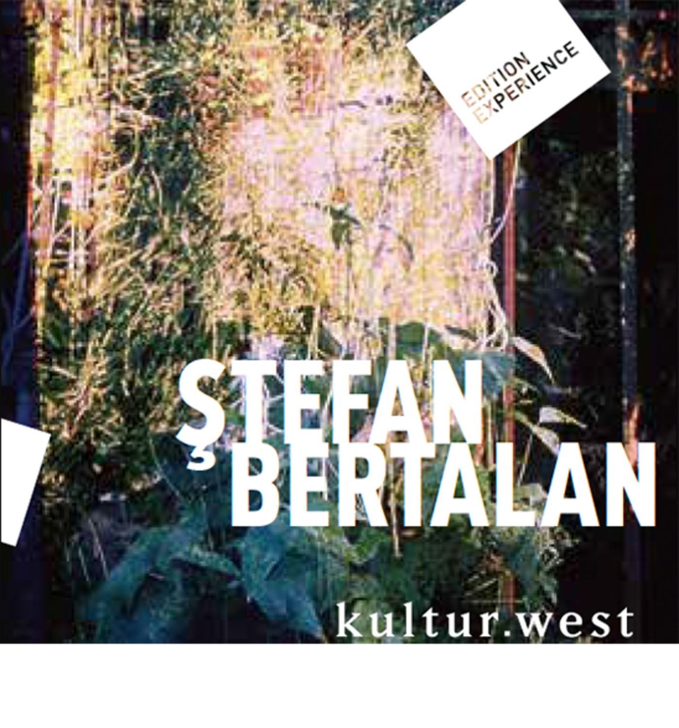 Stefan Bertalan. Visuelle Strukturen 1960-2000 / Doina Talmann
