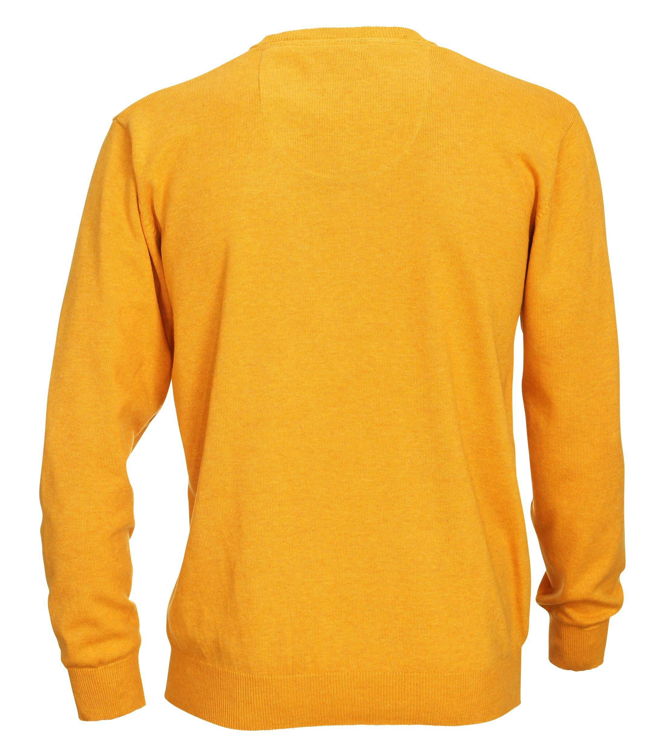 Redmond V-Ausschnitt-Pullover REDMOND Casual Herren Pullover Langarm V-Neck günstig online kaufen