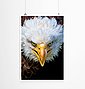 Sinus Art Poster »Tierfotografie  Amerikanischer Seeadler im Porträt 60x90cm Poster«, Bild 1