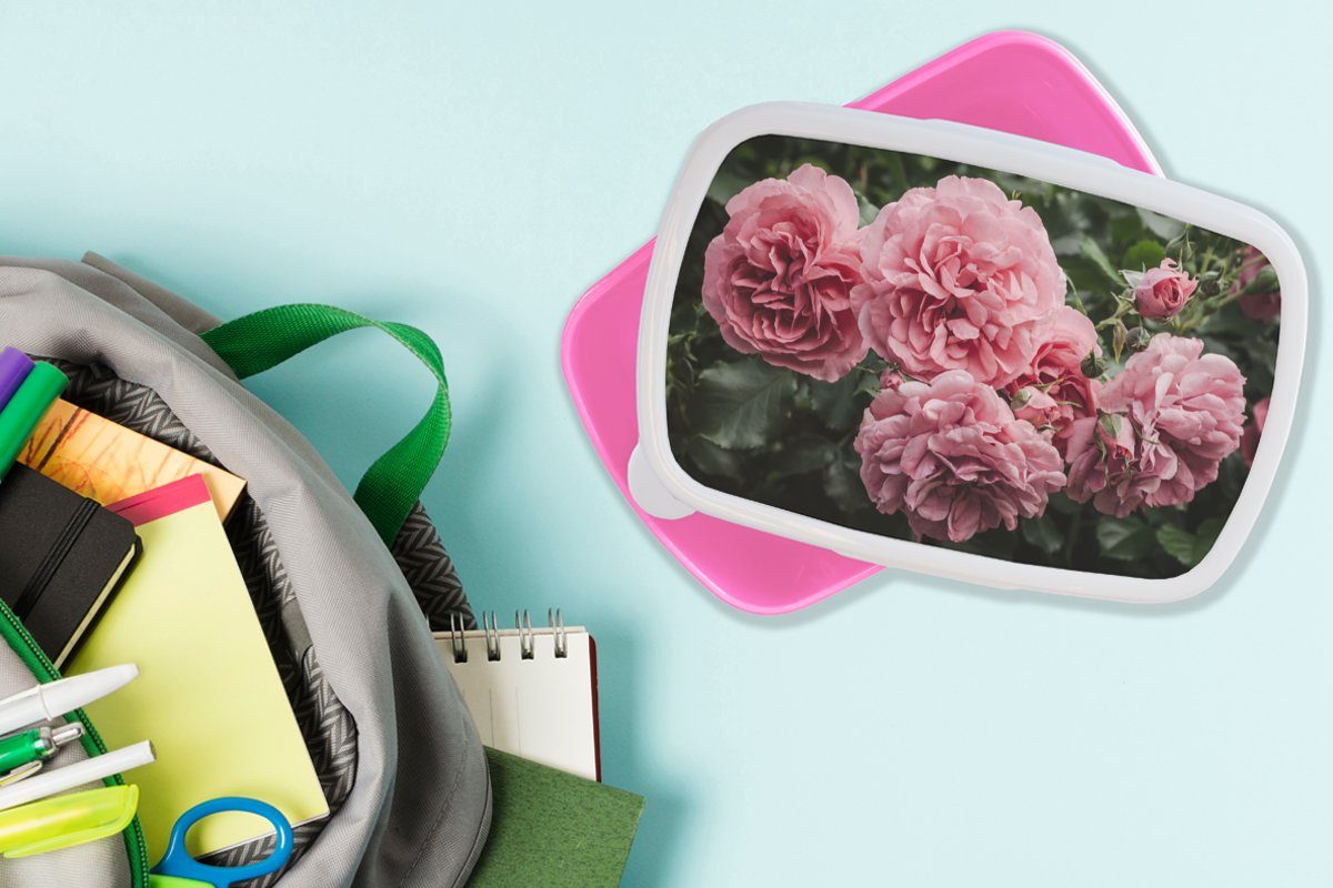 MuchoWow Lunchbox Brotbox Rosen, Brotdose Blumen Rosa (2-tlg), Erwachsene, Kunststoff Mädchen, für - Snackbox, - Kunststoff, Kinder