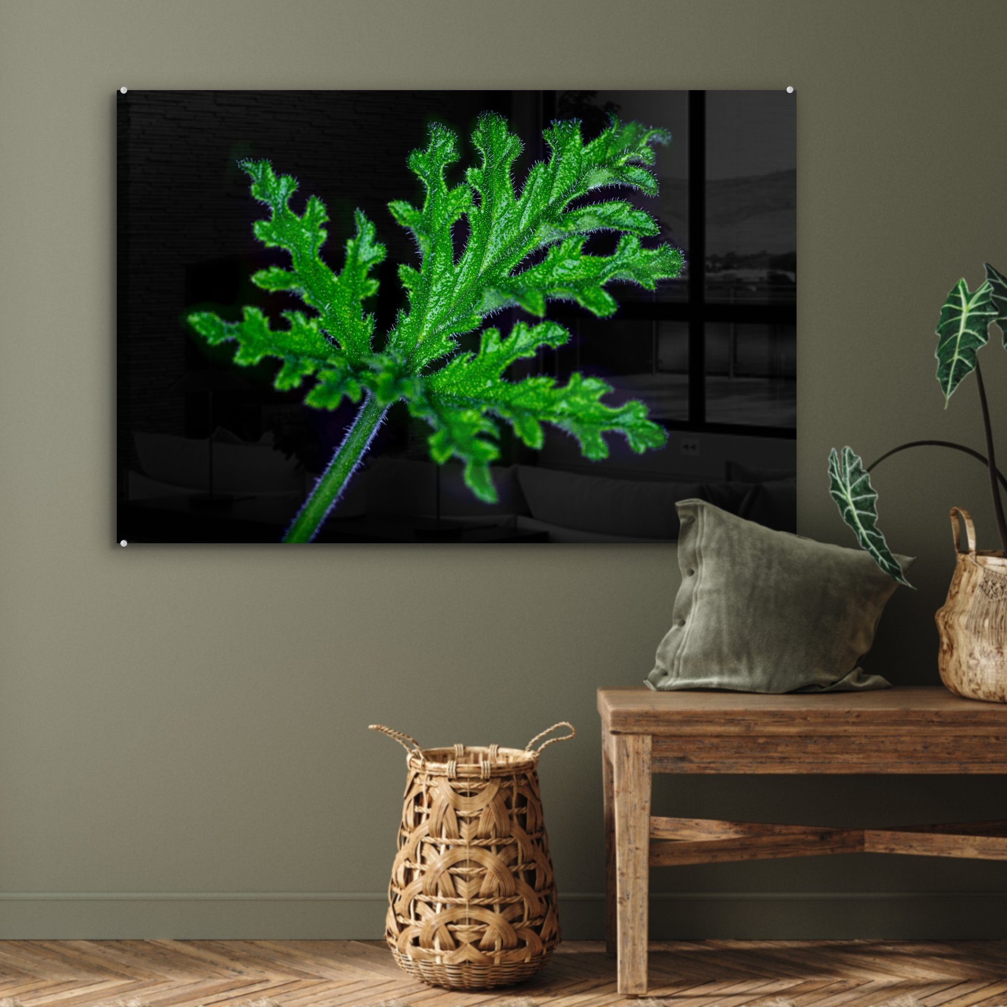 (1 St), auf Acrylglasbild Acrylglasbilder & grüne Hintergrund, MuchoWow Einzelne Schlafzimmer Blätter Wohnzimmer schwarzem