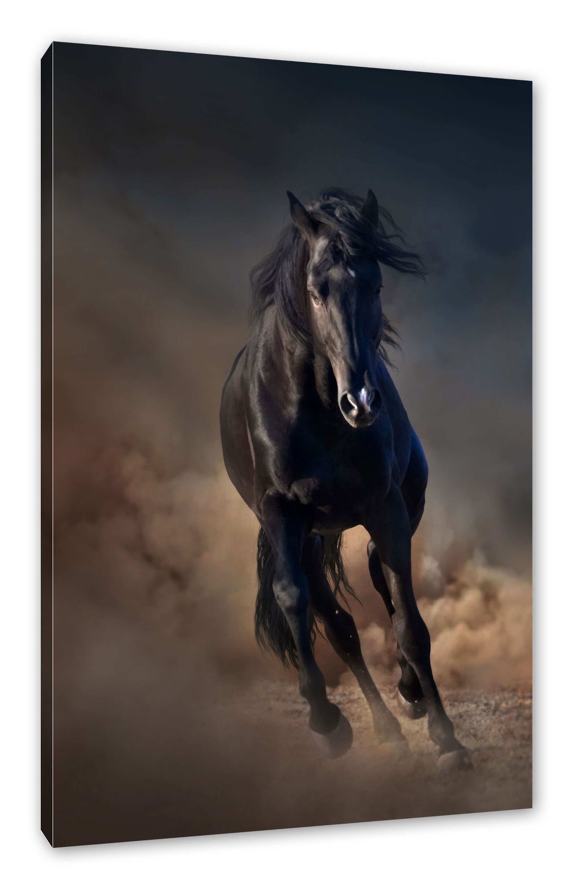 Leinwandbild Elegantes schwarzes Pferd