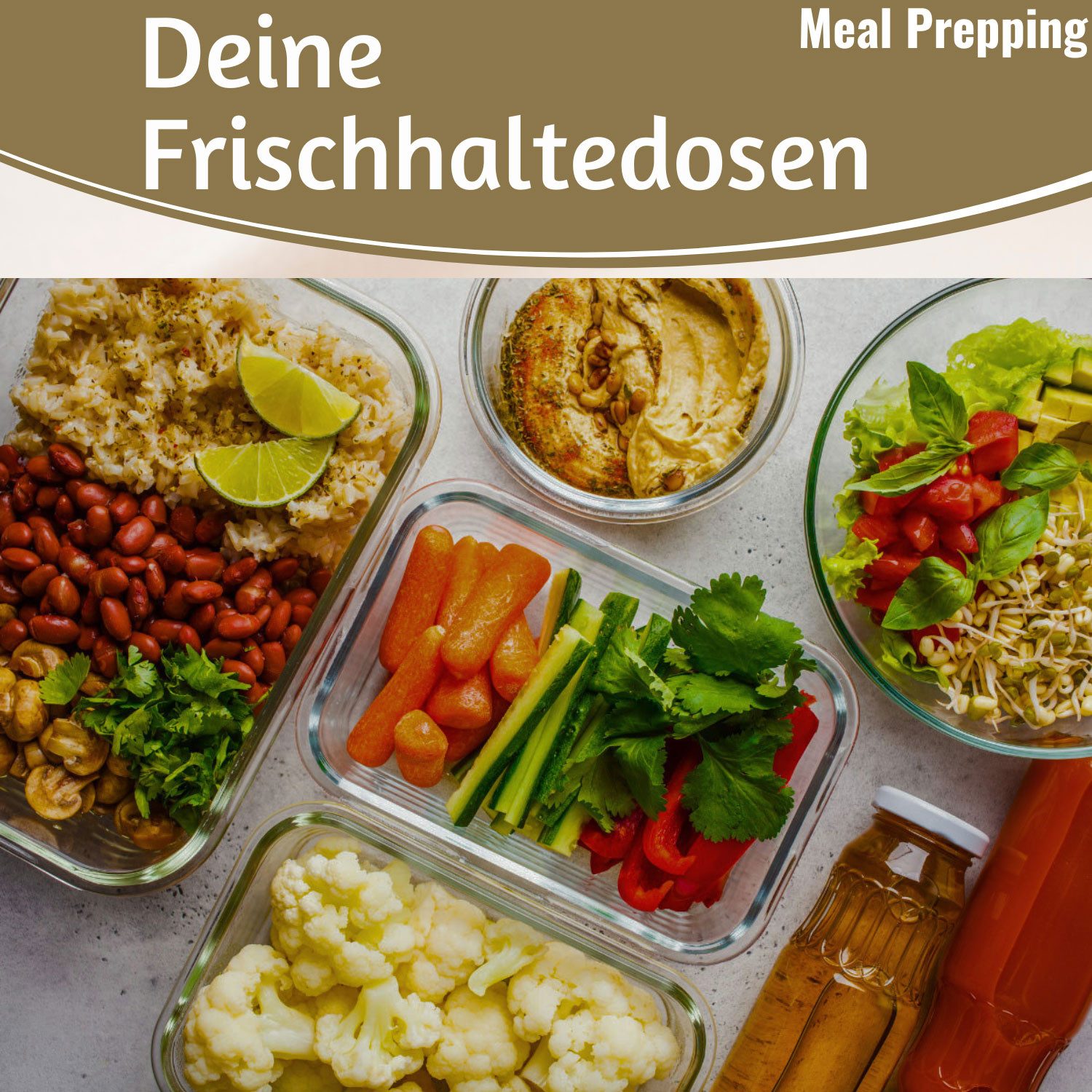 LS-LebenStil Frischhaltedose Glas Cook & Lock 3´er Set Glasschale mit Deckel Glasbehälter Boxen, Glas, (Glasdose mit Deckel, Borosilikatglas, Meal Prep Gläser V – Bild 5 von 5